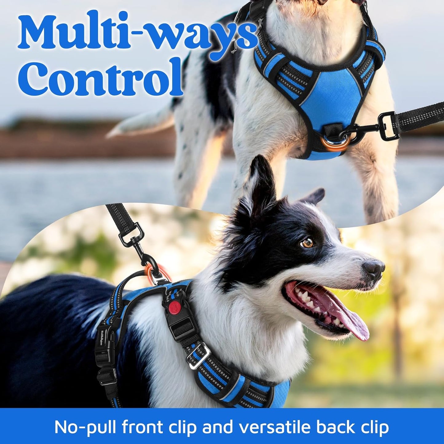 rabbitgoo Dog Harness Small Sized, No Pull Dog Vest with 3 Buckles, Adjustable Soft Padded Pet Harness with Easy Control Handle and Reflective Strips, Blue, S
