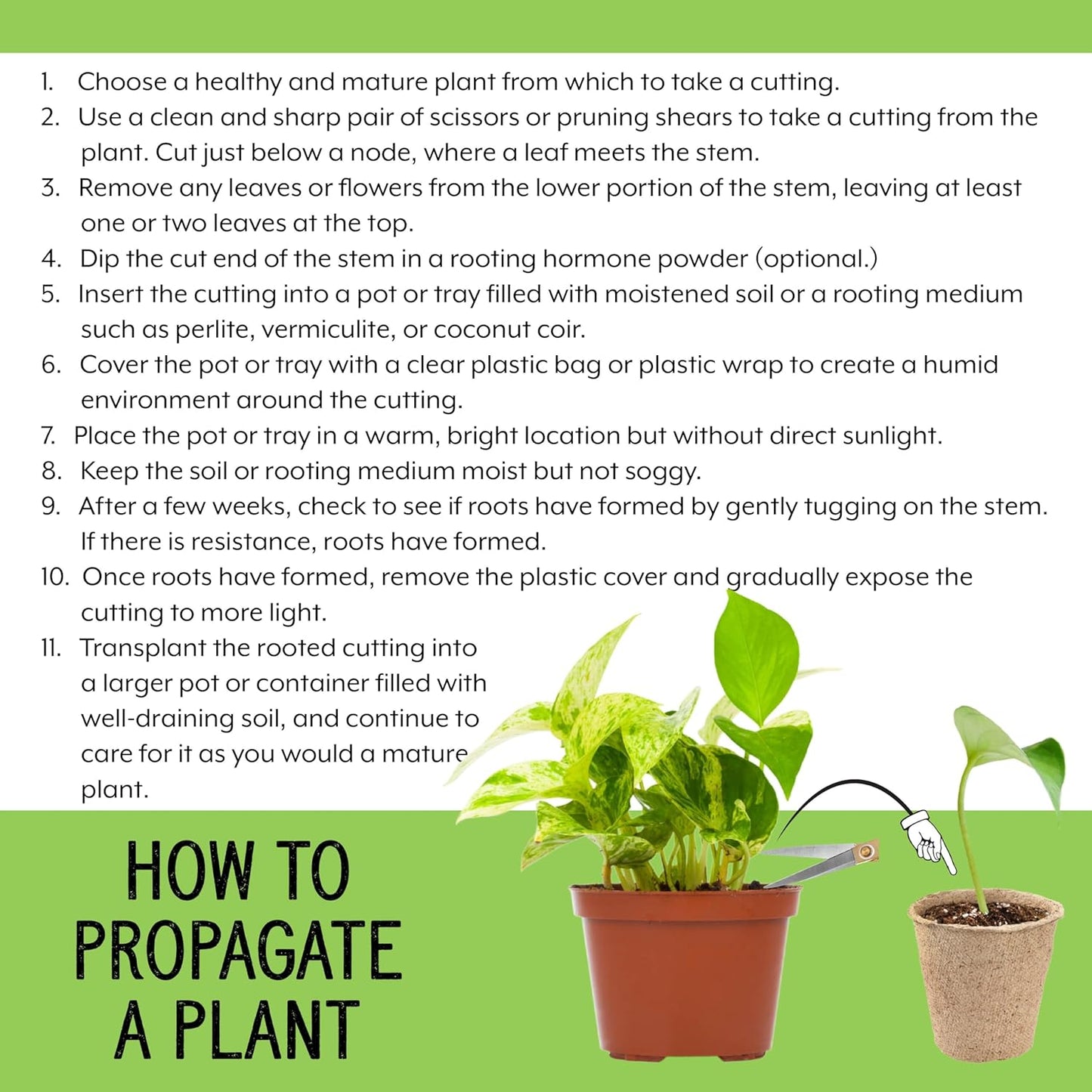 Planting Mix for Plant Propagation (4 Quarts), Hand Blended Soilless Mix for Propagating Plants, House Plants, and More