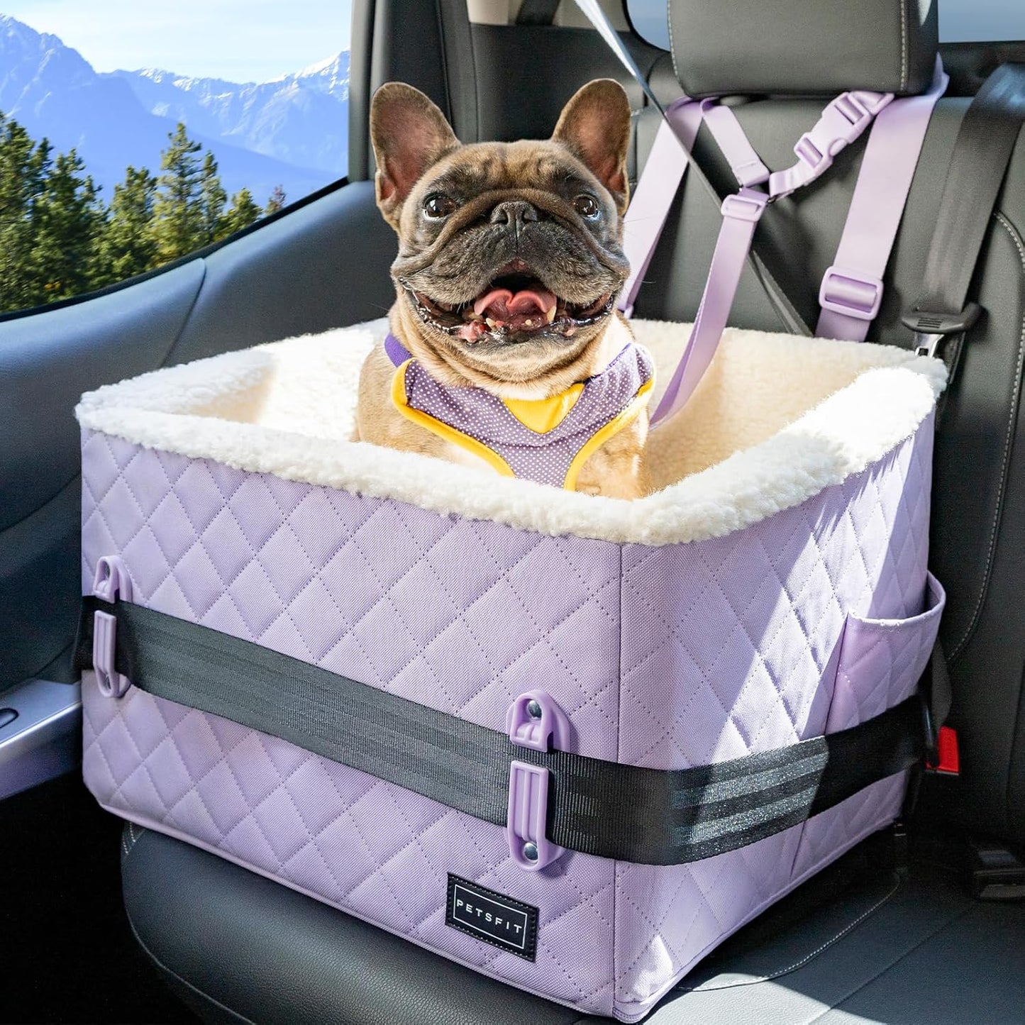 PETSFIT Dog Booster Car Seat, Soft Foam Cat Car Seat with Patented Safety Buckles, Storage Pockets and Detachable Clip-On Safety Leash, Dog Car Seats for Small Dogs Under 30 LBS (Purple)