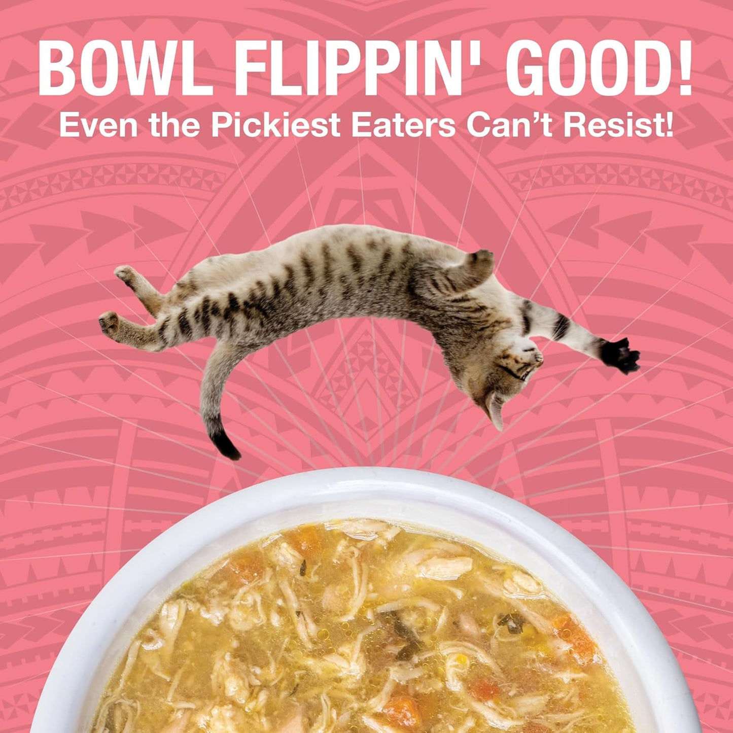 KOHA Pure Shreds Chicken and Salmon Entrée for Cats, High Protein Wet Cat Food, 5.5oz Cans (Pack of 12)