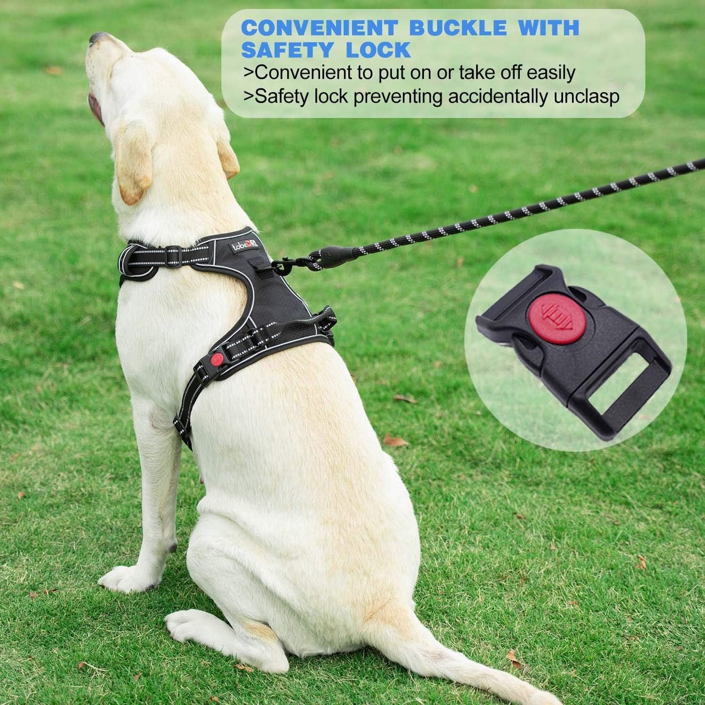 No Pull Dog Harness Adjustable Reflective Oxford Easy Control Medium Large Dog Harness with A Free Heavy Duty 5ft Dog Leash (L (Neck: 18"-25.5", Chest: 24.5"-33"), Red Harness+Leash)