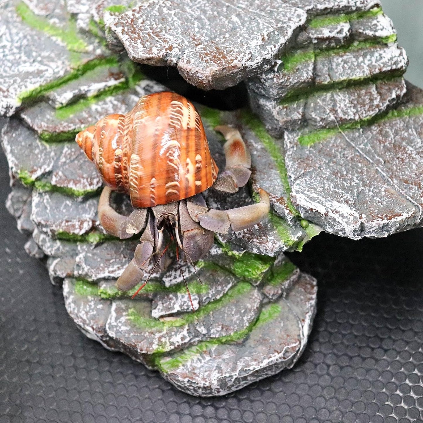 Hermit Crab Hideout, Resin Simulation Stone Reptile Cave Hideout, Hermit Crab Climbing Toys, Terrarium Habitat Decor for Lizard Spider Aquarium Fish Gecko Bearded Dragon