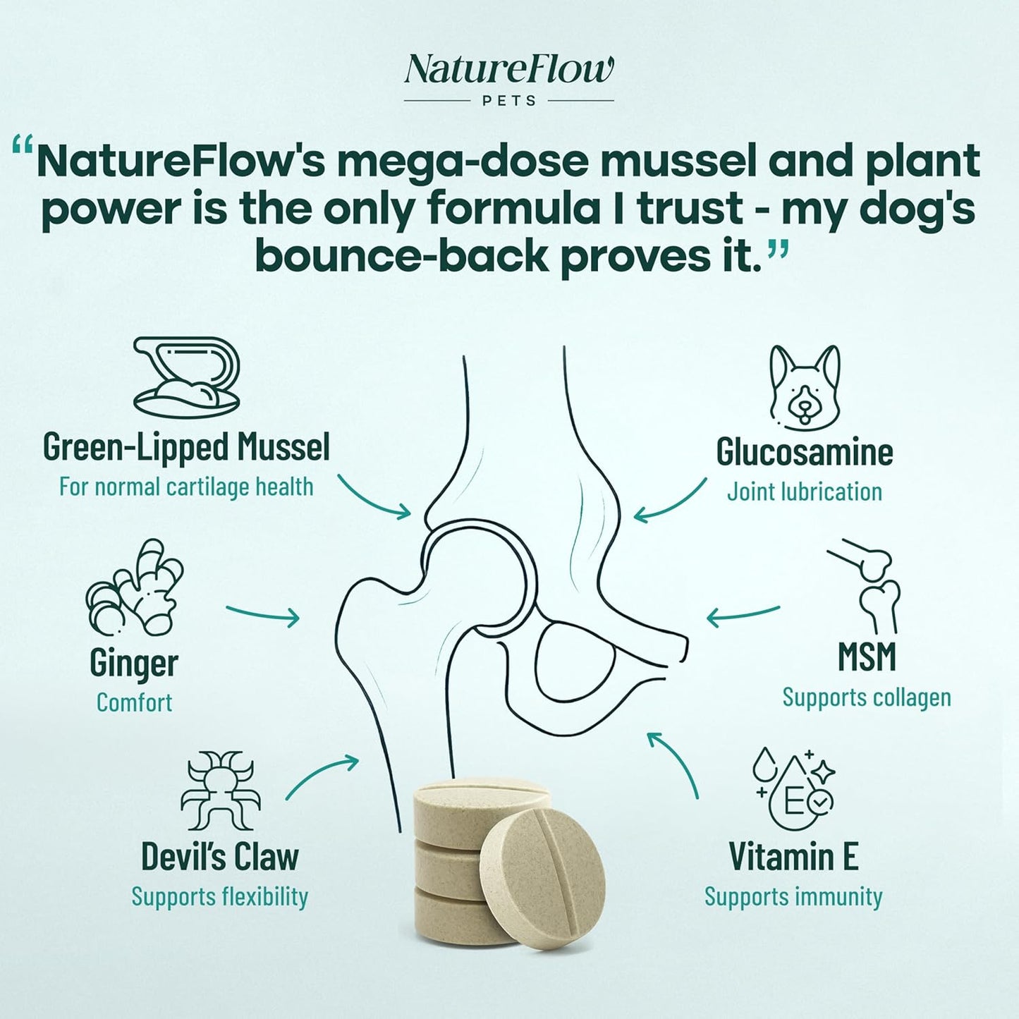 Joint Supplement for Dogs, Power of Nature Made in USA, Unique Formula: Green-Lipped Mussel, Glucosamine, Chrondroitin, MSM, Devils Claw, Hip and Joint Supplement, All Breeds - 100 ct