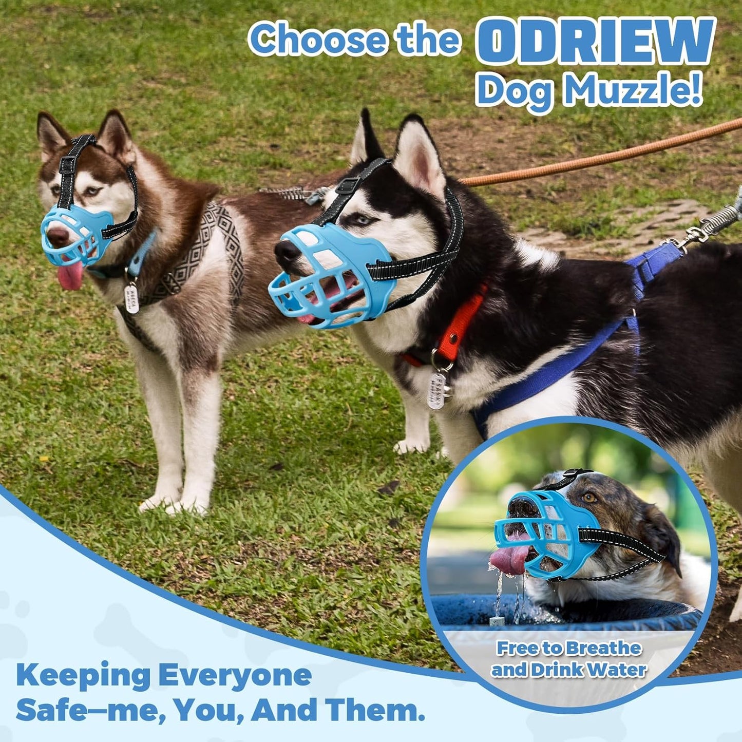 Dog Muzzle for Large Dogs, Breathable Basket Muzzles for Small, Medium and X-Large Aggressive Dog, Allows Panting Drinking, Suitable for Grooming Trimming Training (6, Luminous Blue)