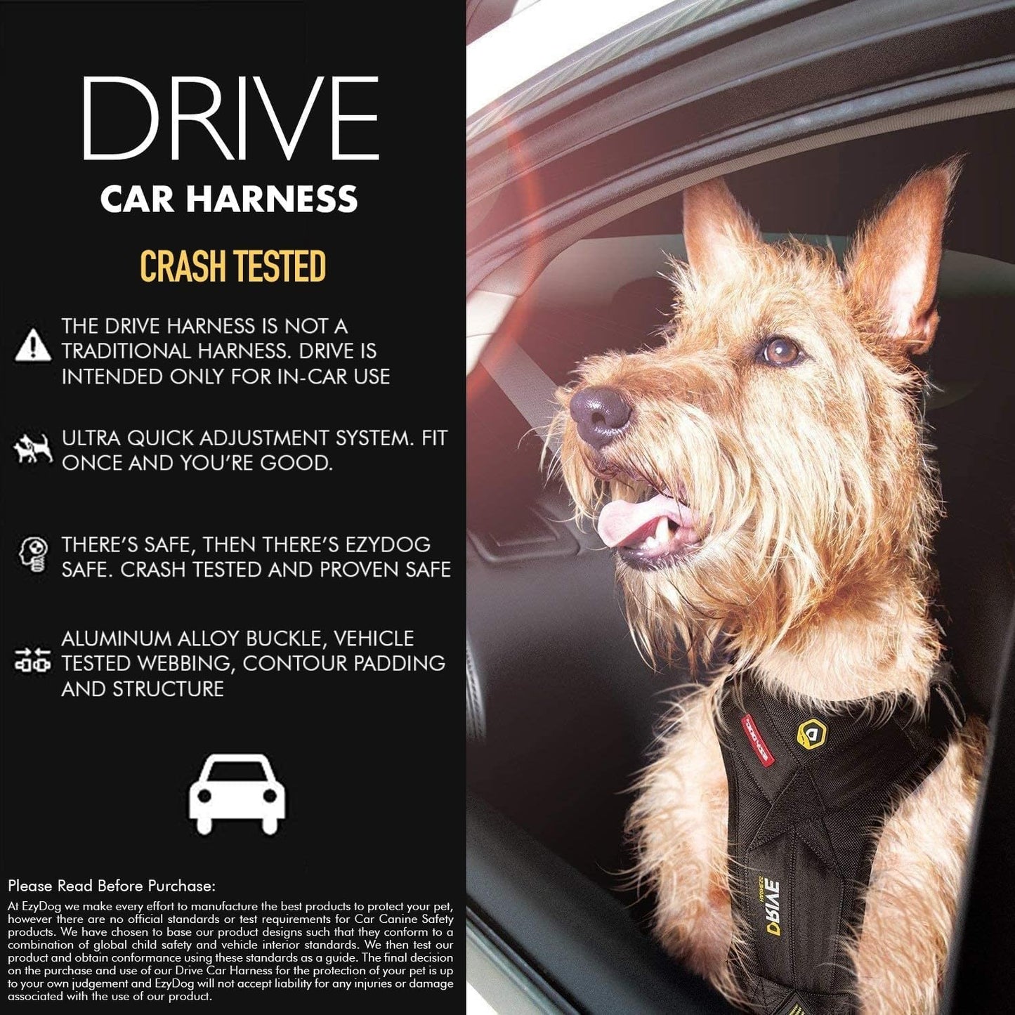 EzyDog Drive Dog Car Harness – Crash Tested and Certified (US-FMVSS 213) Dog Seat Belt Harness for Safe Travel, Adjustable with Padded Comfort (Small)