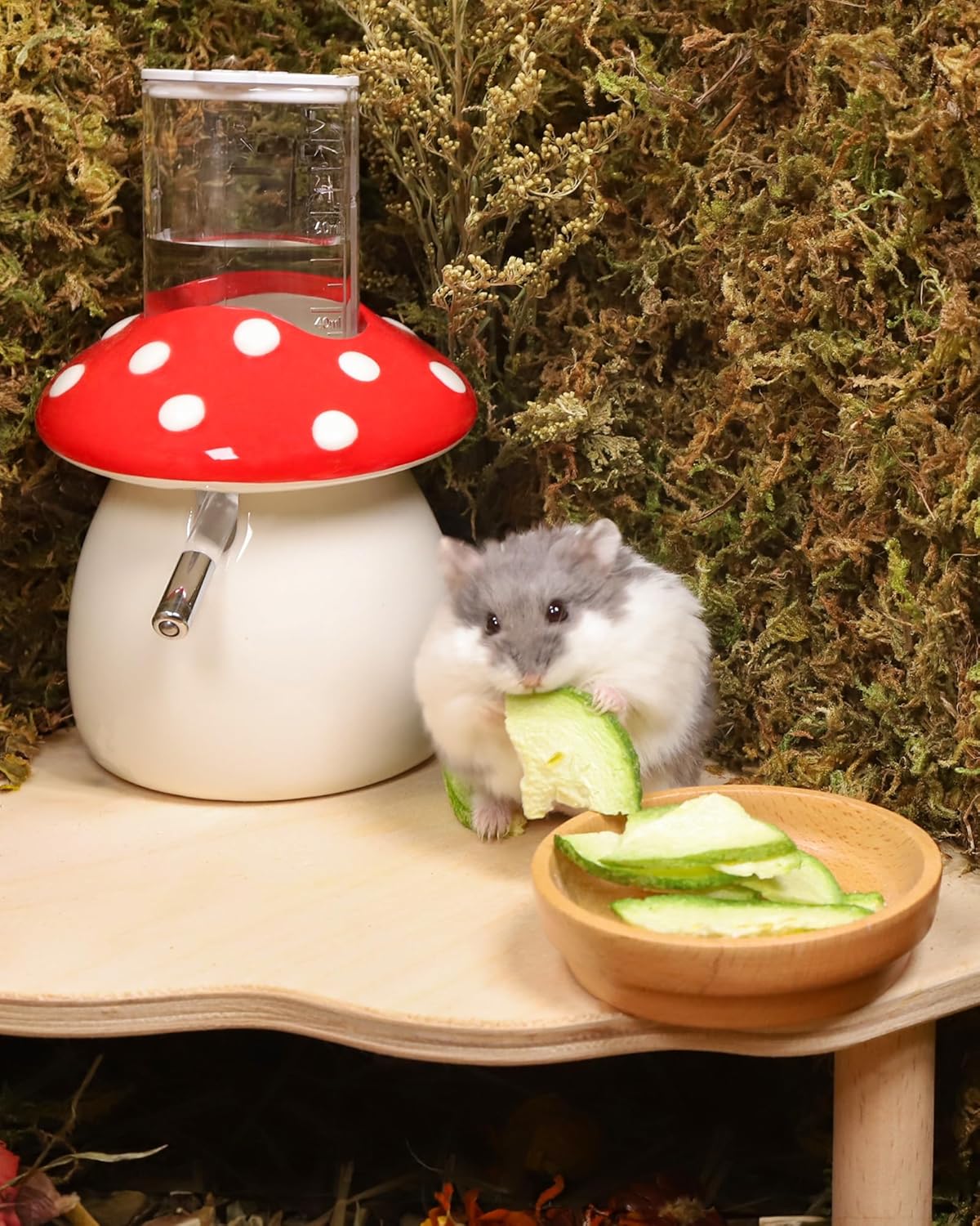 Niteangel Hamster Snack & Treats Toy - Small Animal Natural Treat for Dwarf Syrian Robo Hamsters Gerbils Mice Lemmings Degus or Other Small-Sized Pets