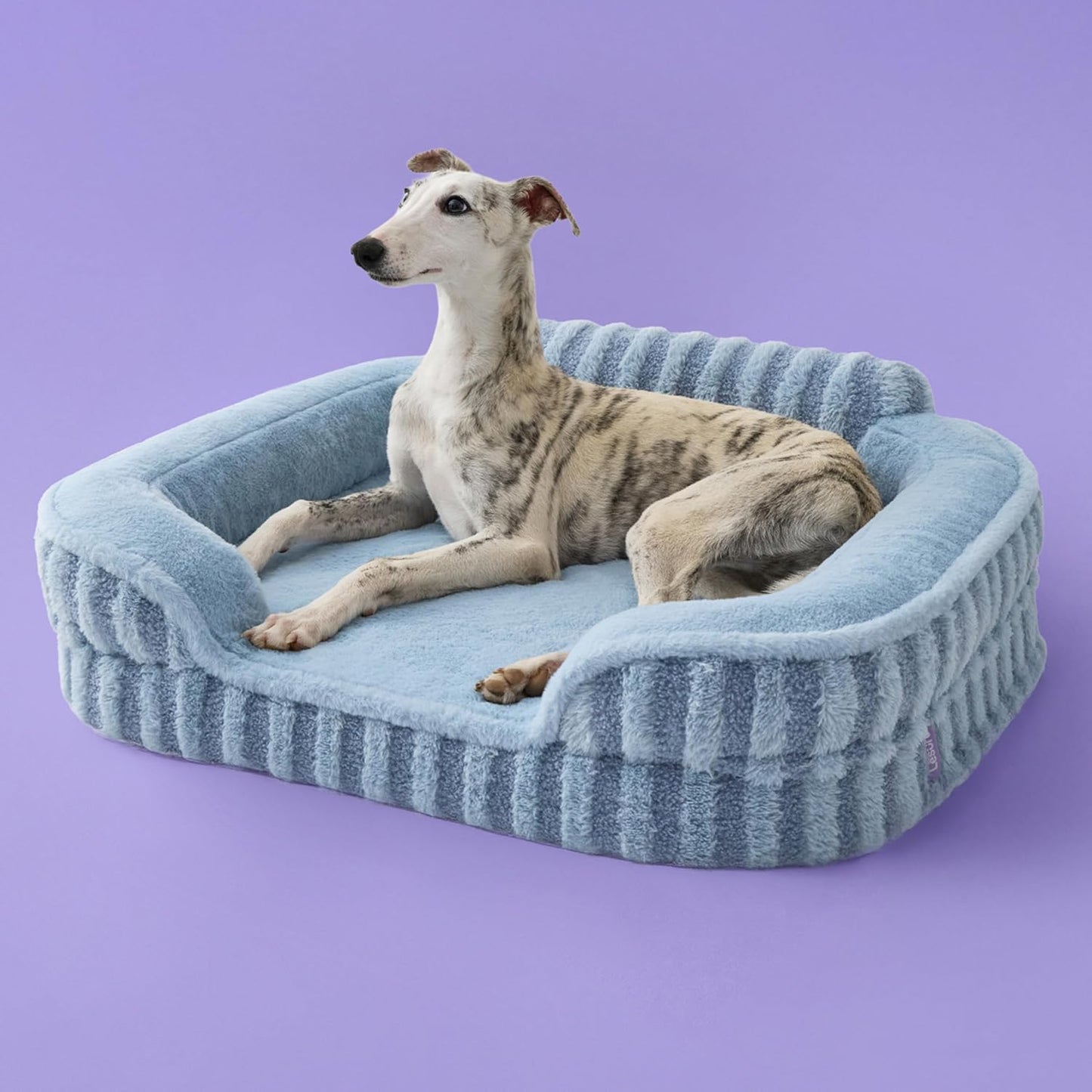 LE SURE Cute Dog Bed Medium Size Dog, Orthopedic Waterproof Medium Pet Beds with Sides, Non-Slip Bottom and Egg-Crate Foam Pet Couch Sofa with Washable Removable Cover, Blue