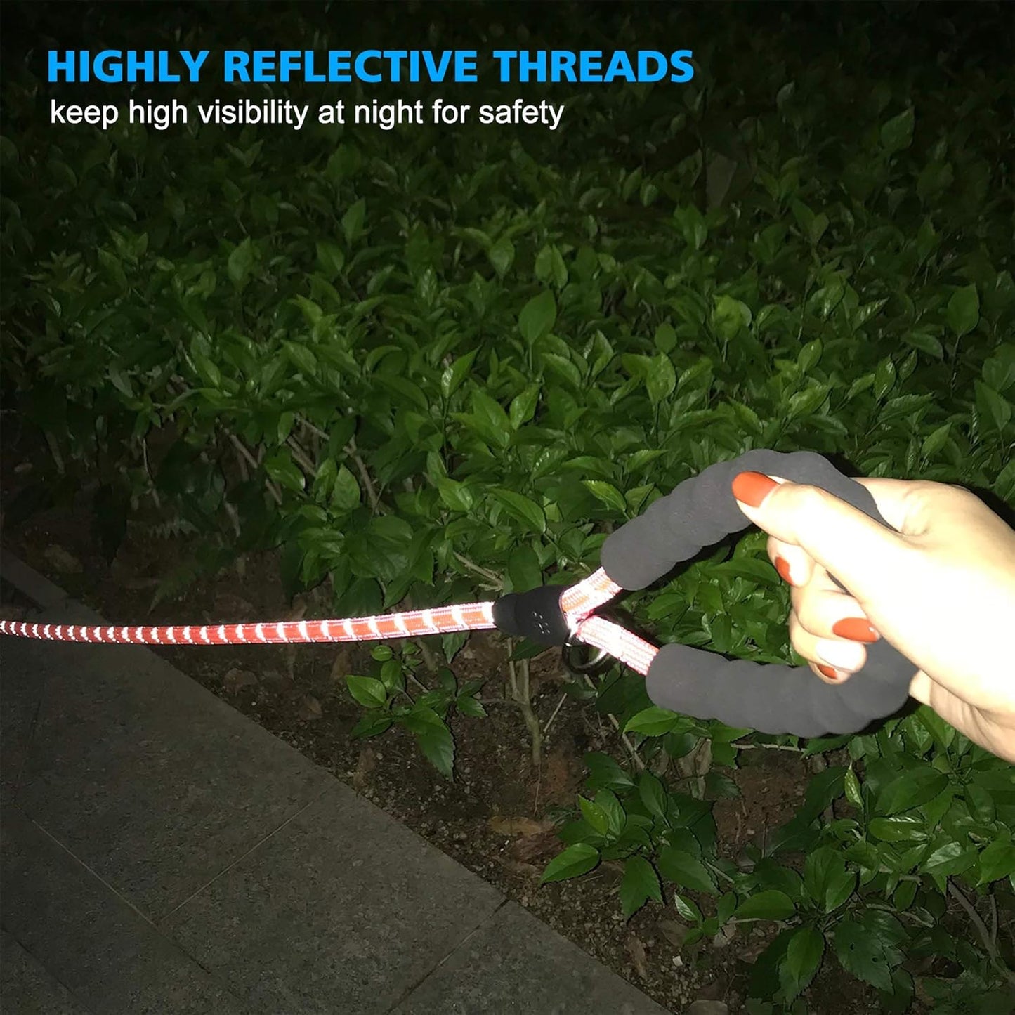 Heavy Duty Dog Leash - Comfortable Padded Handle, 5 ft Long - Dog Leashes for Small Medium Large Dogs (Leash+Collar S Neck 13.5"-16", Pink)