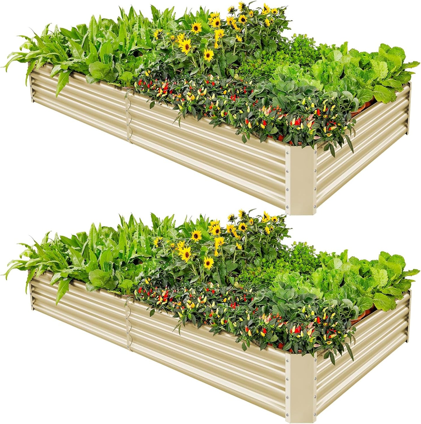 Land Guard 2 Pack 8×4×1ft Galvanized Metal Raised Garden Bed, Metal Planter Kit Box Outdoor for Deep-Rooted Vegetables, Flowers, Green and Herbs (Cream Yellow)