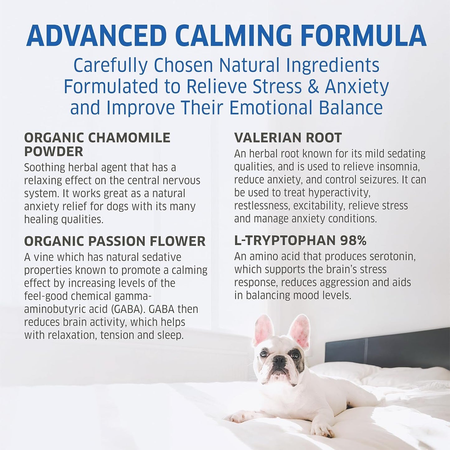 Hemp Calming Chews for Dogs - Natural Anxiety Relief Treats - Separation, Stress, Barking, Thunderstorms - 120 Dog Anxiety Chews