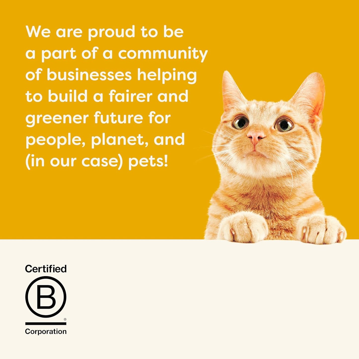 Applaws Natural Wet Cat Food in Broth, Limited Ingredient Canned Wet Cat Food, No Additives, Made with Natural Ingredients, Chicken Breast & Liver in Broth (24 x 2.47oz Cans)