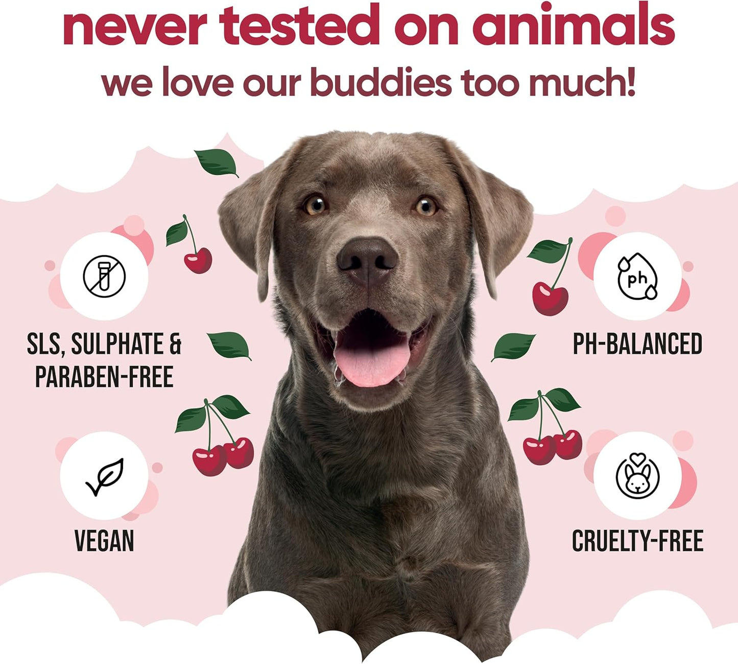 Black Cherry Dog Shampoo by Buddycare | Deep Cleansing Shampoo for Dogs | Black Cherry Scented | with Aloe Vera and Pro Vitamin B5 (169.07oz)