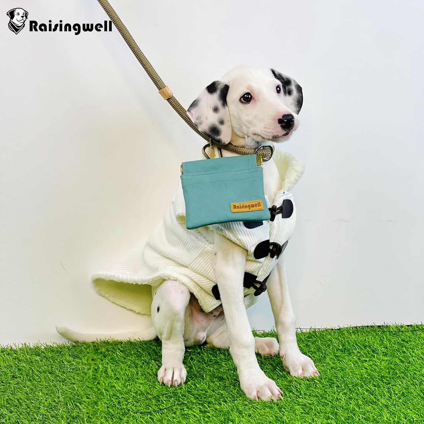 Dog Treat Pouch, Green Pocket Sized Pet Training Pouch, Cotton Fabric, Hand Free Dog Walking Bag with Carabiner, Self-Closing Pet Feed Snack Reward, for Puppy Travel or Outdoor Use