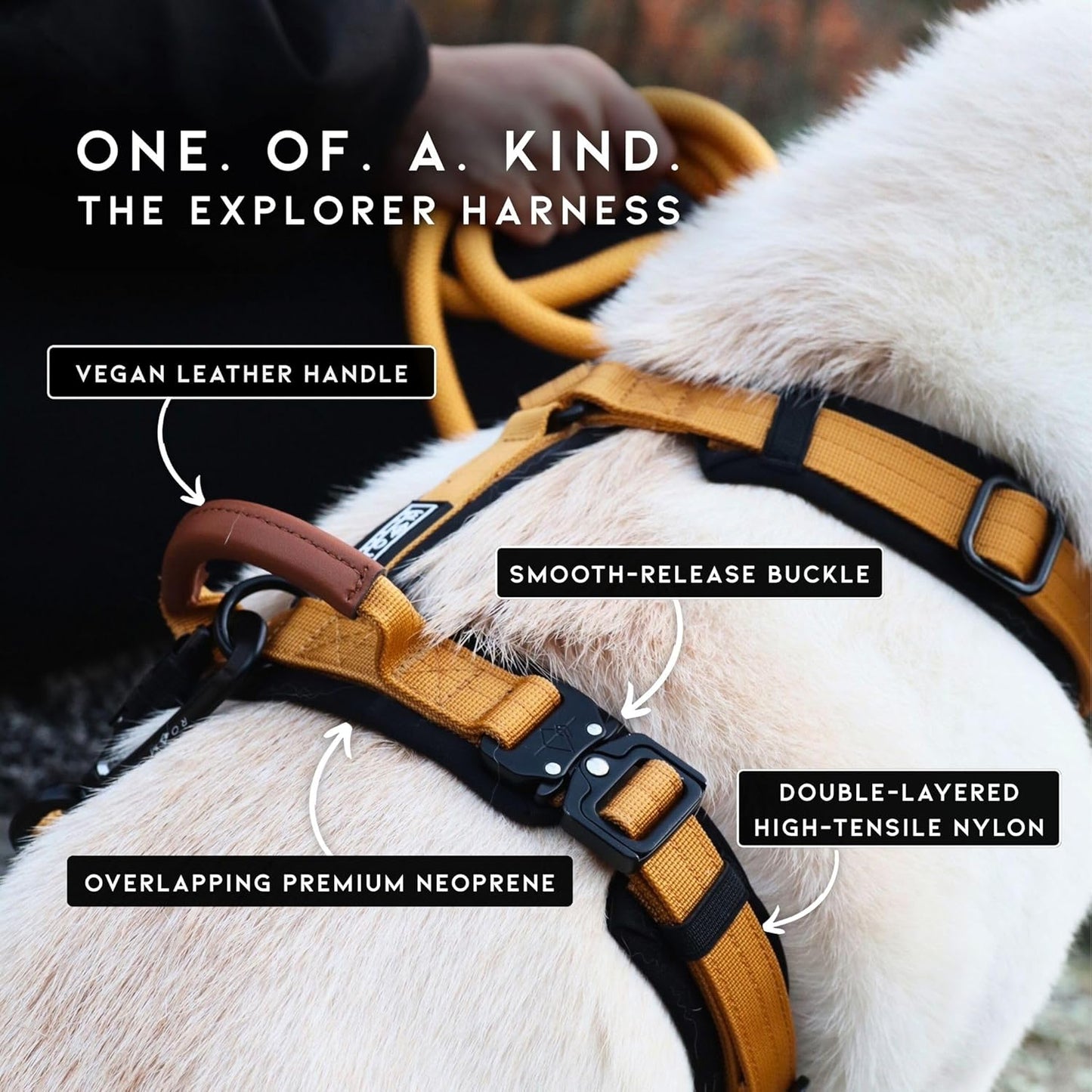 MADE TO ROAM Premium Explorer Harness - Y-Shaped Dog Harness with Adjustable Durable Nylon, Soft Padding, Metal Buckles and Leather Handle for Small, Medium, Large Dogs (Alaska Daybreak, Size 7)