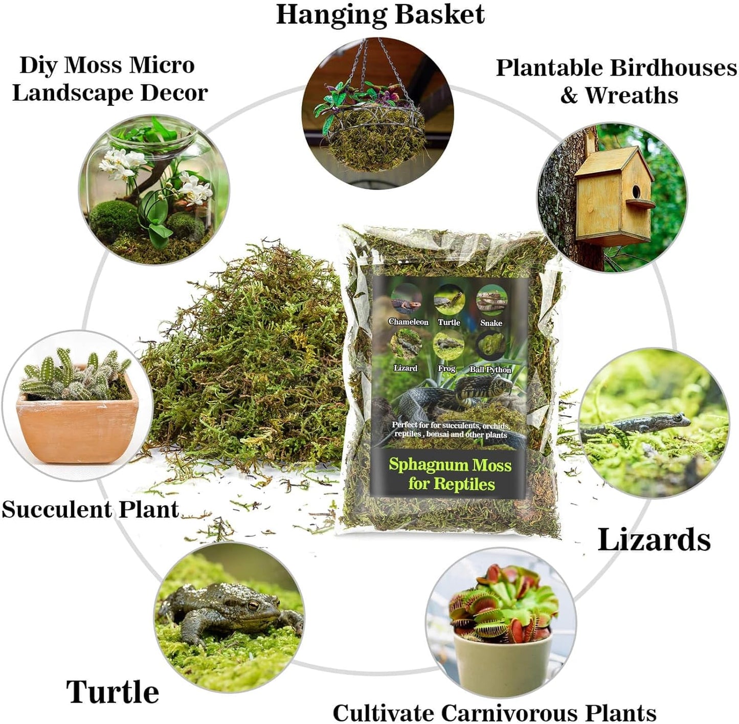 Sukh Sphagnum Moss for Reptiles -Terrarium Moss for Reptiles Peat Moss for Reptiles Habitat Bedding Moss for Snakes Turtle Frog Gecko and Other Reptiles Substrate (6.3, Ounces)