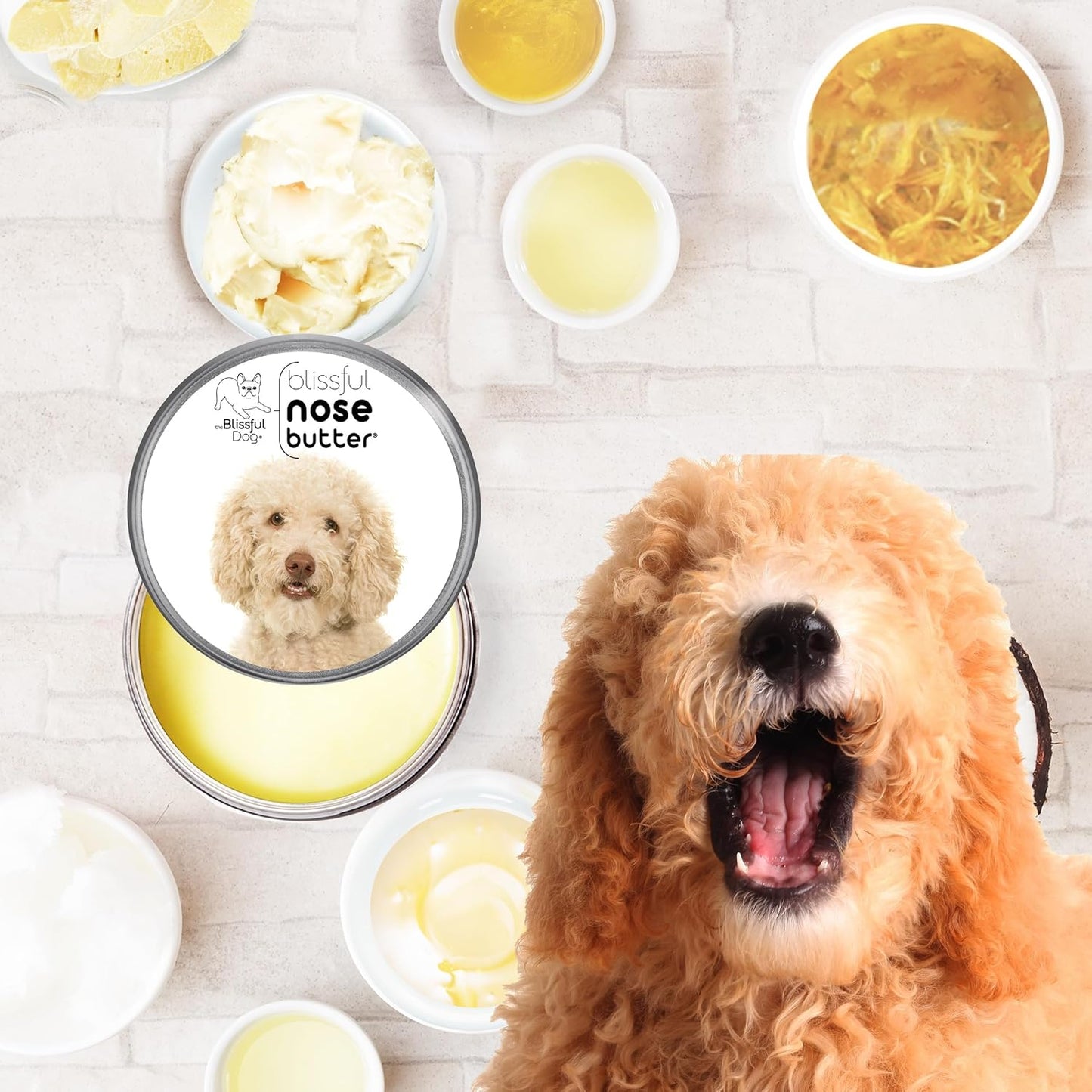 The Blissful Dog Goldendoodle Unscented Nose Butter - Dog Nose Butter, 16 Ounce