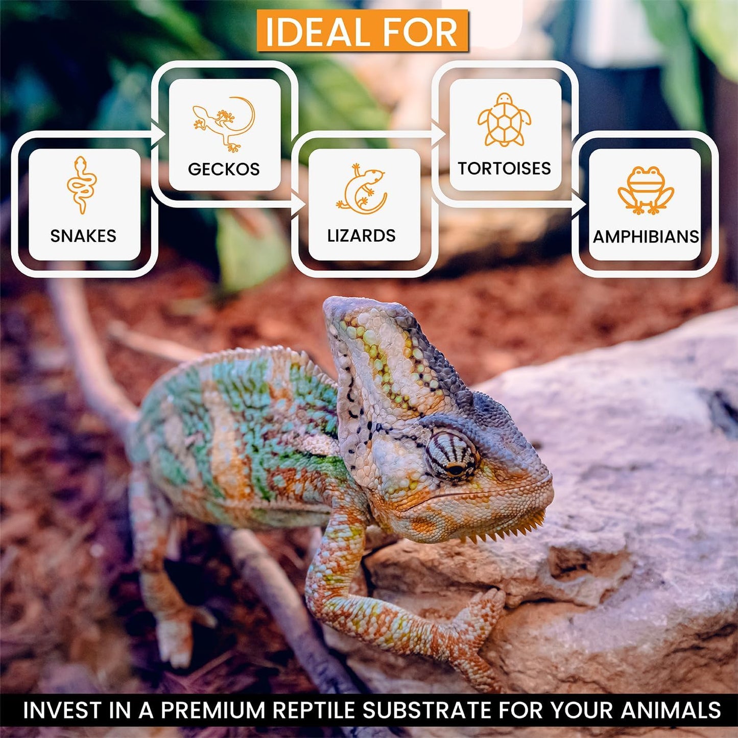 ReptiChip Reptile Substrate Coconut Chip Bedding 72 Quart Compressed Organic Coco Husk Block for Snake Habitat, Ball Python Terrarium, Turtle Tanks, Tortoise Enclosure (5 Pk)