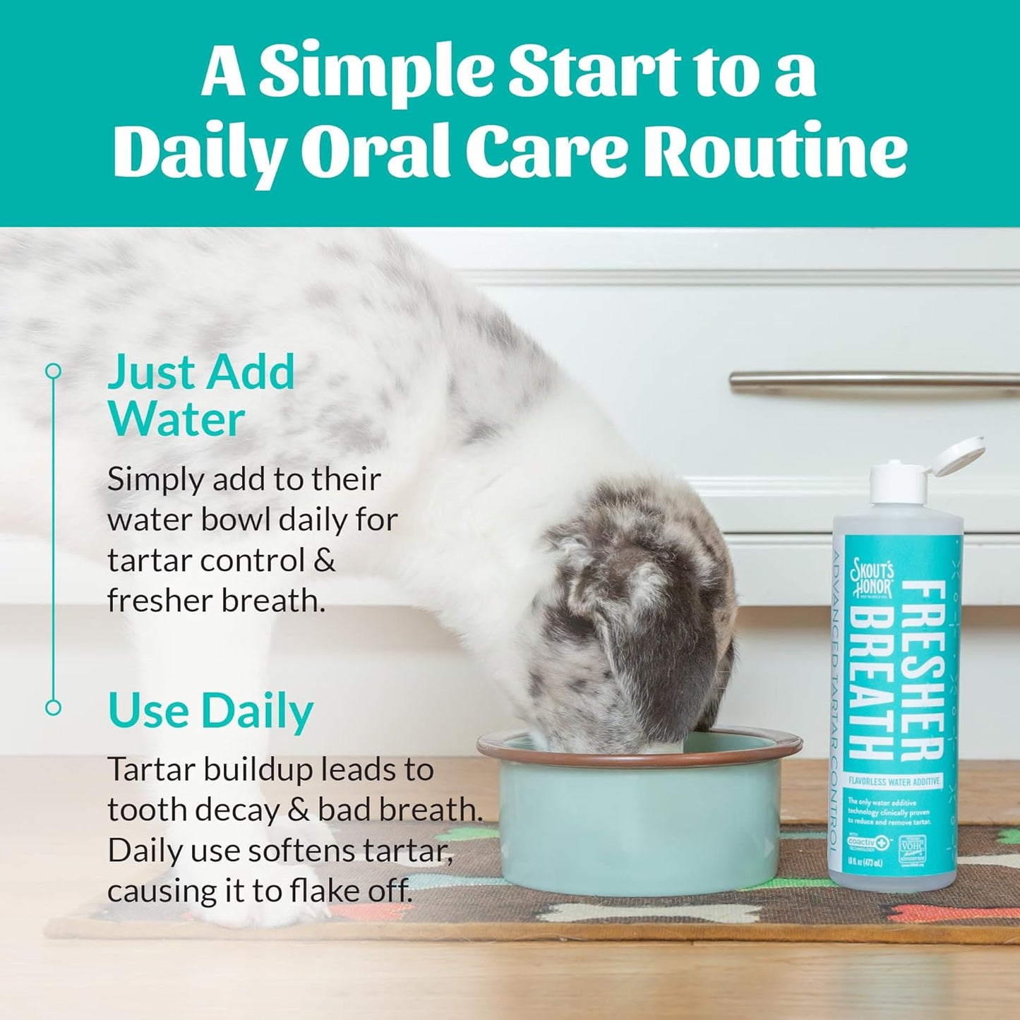 SKOUT'S HONOR Fresher Breath Water Additive for Pets - VOHC Accepted for Tartar Control, Freshens Breath Fast, No Brushing Required: Fresh & Flavorless 16oz - 3 Pack