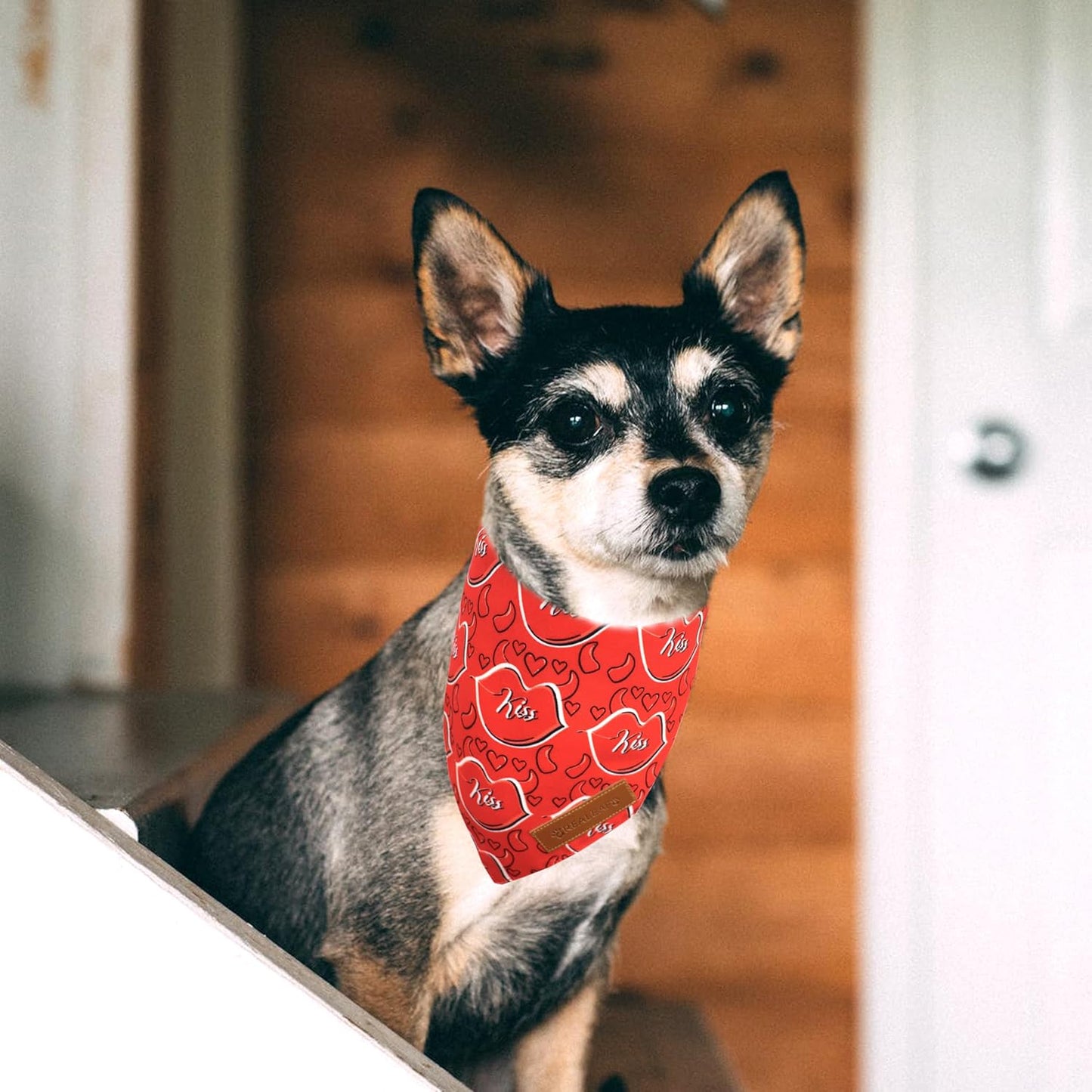 Realeaf Valentine's Day Dog Bandanas 2 Pack, Reversible Heart Dog Scarf for Boy and Girl, Premium Durable Fabric, Holiday Love Bandana for Small and Medium Dogs Cats Pets (Small)