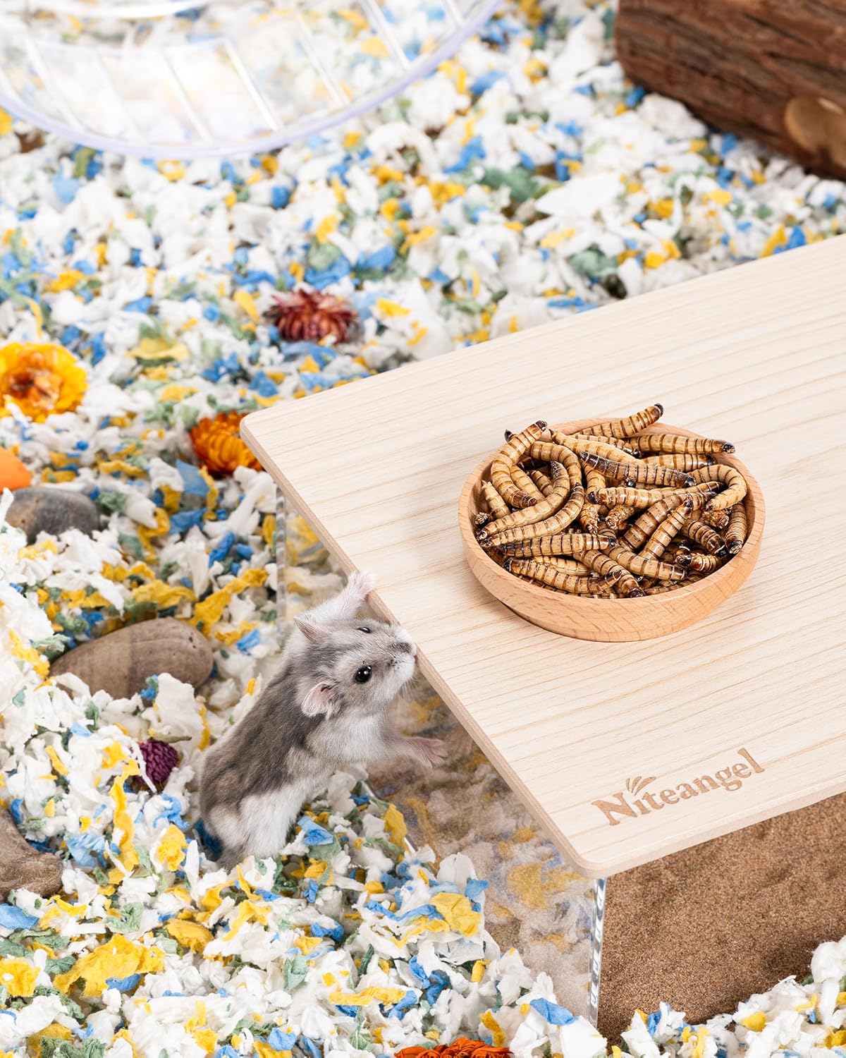 Niteangel Small Animal Snack & Treats - Small Critter Natural Treat for Dwarf Syrian Hamsters Gerbils Mice Sugar Glider Hedgehogs Chickens Birds (Freeze-Dried Worms- 1.4oz (40g))