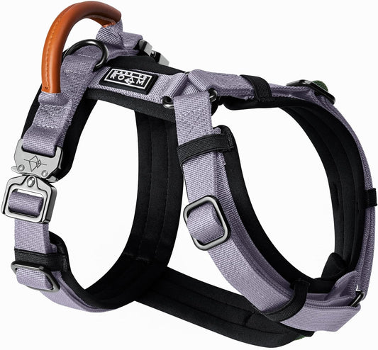 MADE TO ROAM Premium Explorer Harness - Y-Shaped Dog Harness with Adjustable Durable Nylon, Soft Padding, Metal Buckles and Leather Handle for Small, Medium, Large Dogs (Montana Moonrise, Size 1)