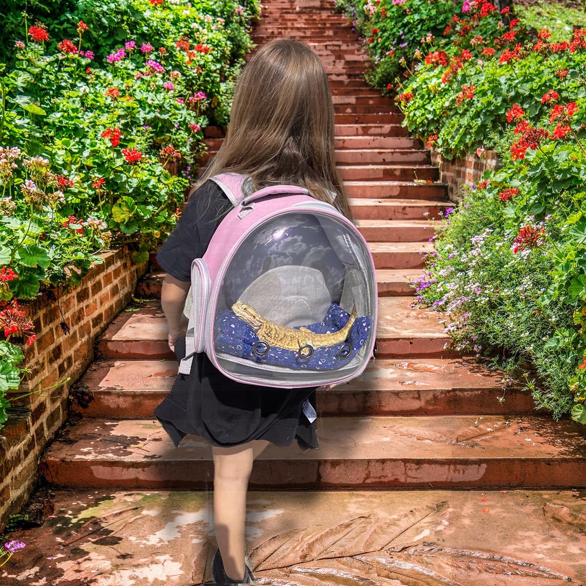 Bearded Dragon Travel Backpack with Harness and Leash Set,Lizard Backpack Travel Carrier,Space Capsule Clear Bubble Window Astronaut Reptile Carrier Backpack for Kids, Airline Approved