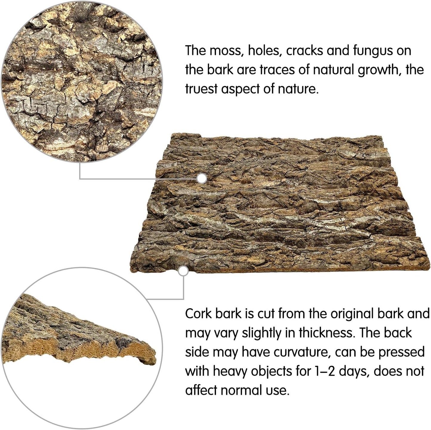 kathson 2Pcs 11.8” L x 11.8” W Cork Tile Background Bark Terrarium Backdrop Wall Decor Cork Bark for Reptiles Reptile Climbing Mat for Spider Gecko Lizard Bearded Chameleon Dragon Turtle Snake