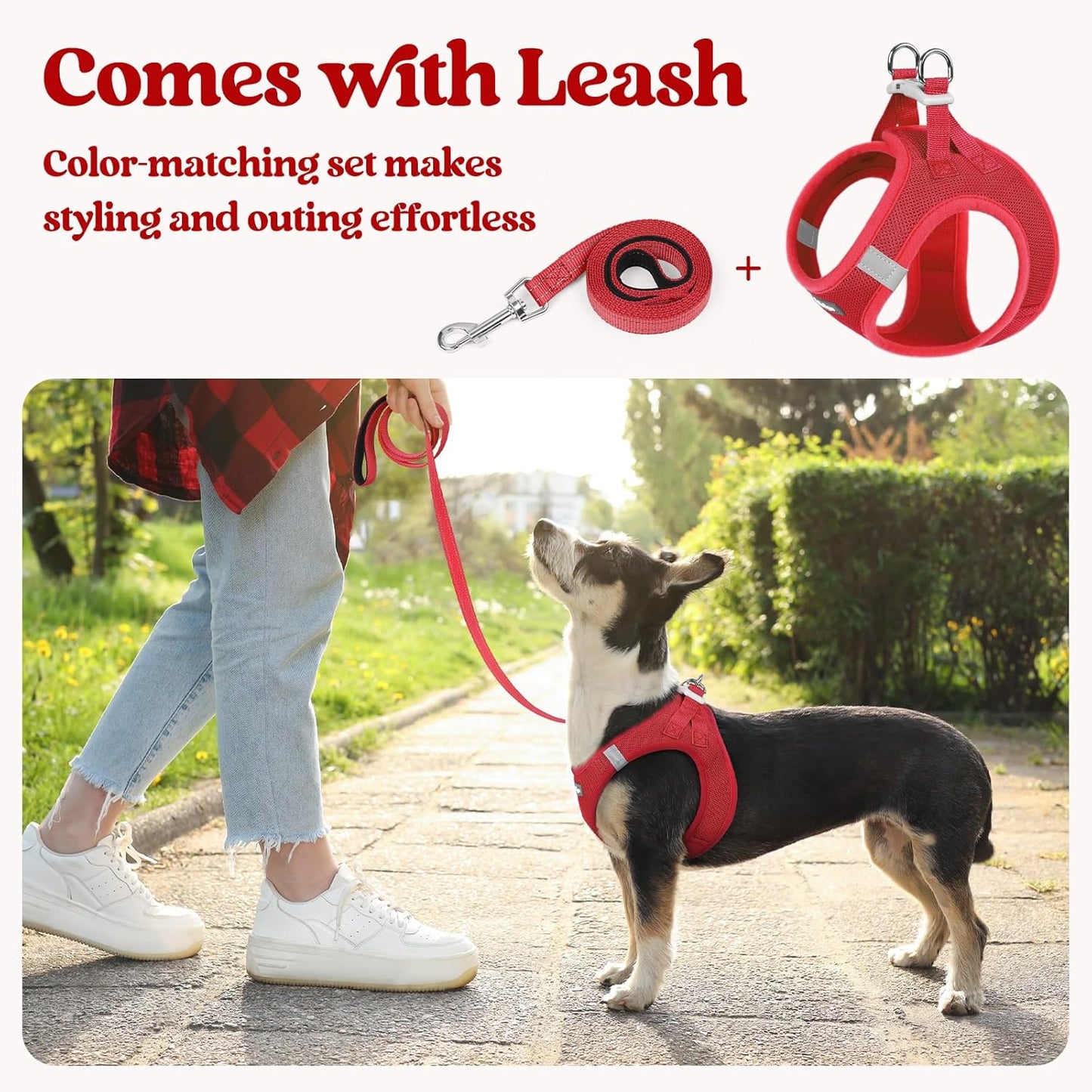 rabbitgoo Dog Harness Small Sized and Leash Set, Step in Soft Light Puppy Vest, Breathable Mesh Pet Harness, Reflective for Safe Easy Walking, Red M