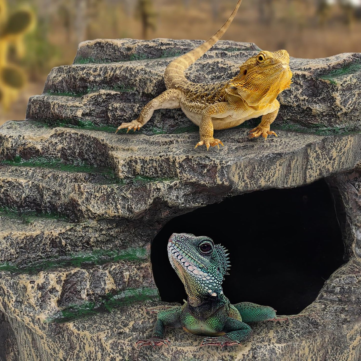 Beared Dragon Tank Accessories for Adults, Snake Hide, Reptile Tank Accessories, Perfect Natural Large Reptile Hide, Professional Turtle Basking Platform (E-Large)