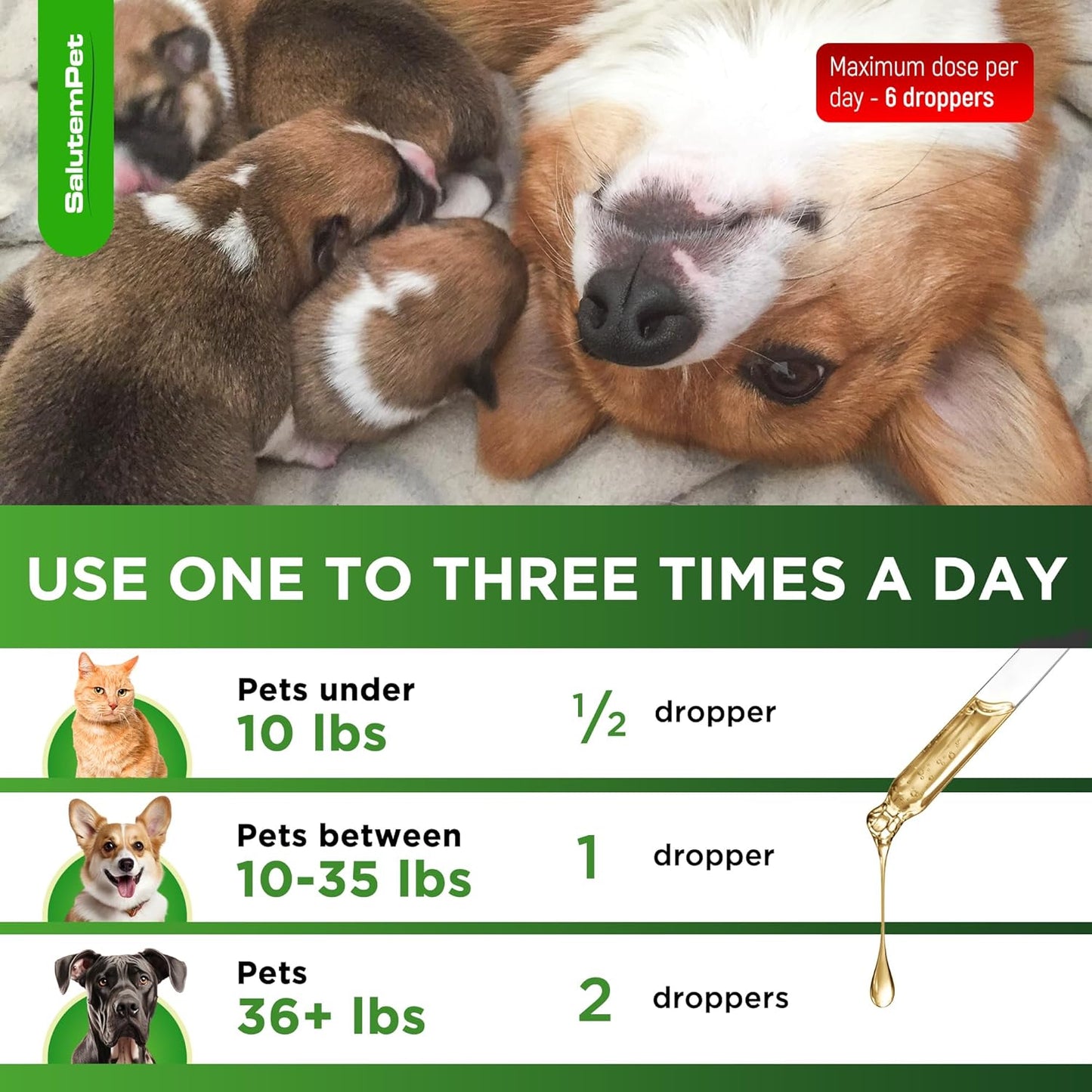 Dog Prenatal Vitamins for Moms During Lactating – Prenatal Vitamins for Dogs & Cats of All Breeds to Care for Pet Development – Multivitamin for Cats – 2 Oz – Herbal Supplement for Pets