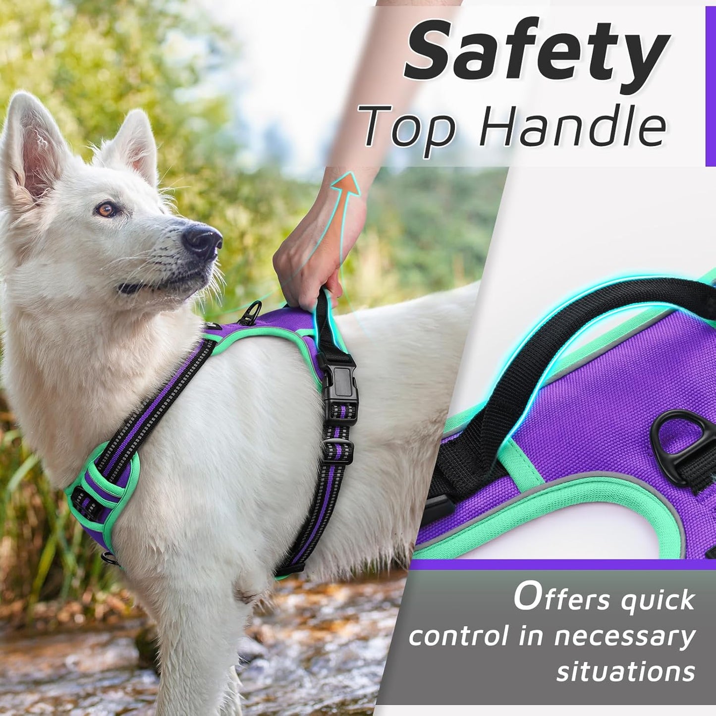 Eagloo Dog Harness for Large Dogs, No Pull Service Vest with Reflective Strips and Control Handle, Adjustable and Comfortable for Walking, No Choke Harness with 2 Metal Rings, Purple & Green, M