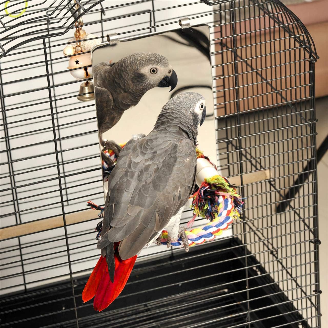 Colorday 9" Bird Mirror with Rope Perch, Bird Swing, Parrot Cage Toys for Parakeet African Grey Conure Cockatiel Lovebird Finch Canarie, Large