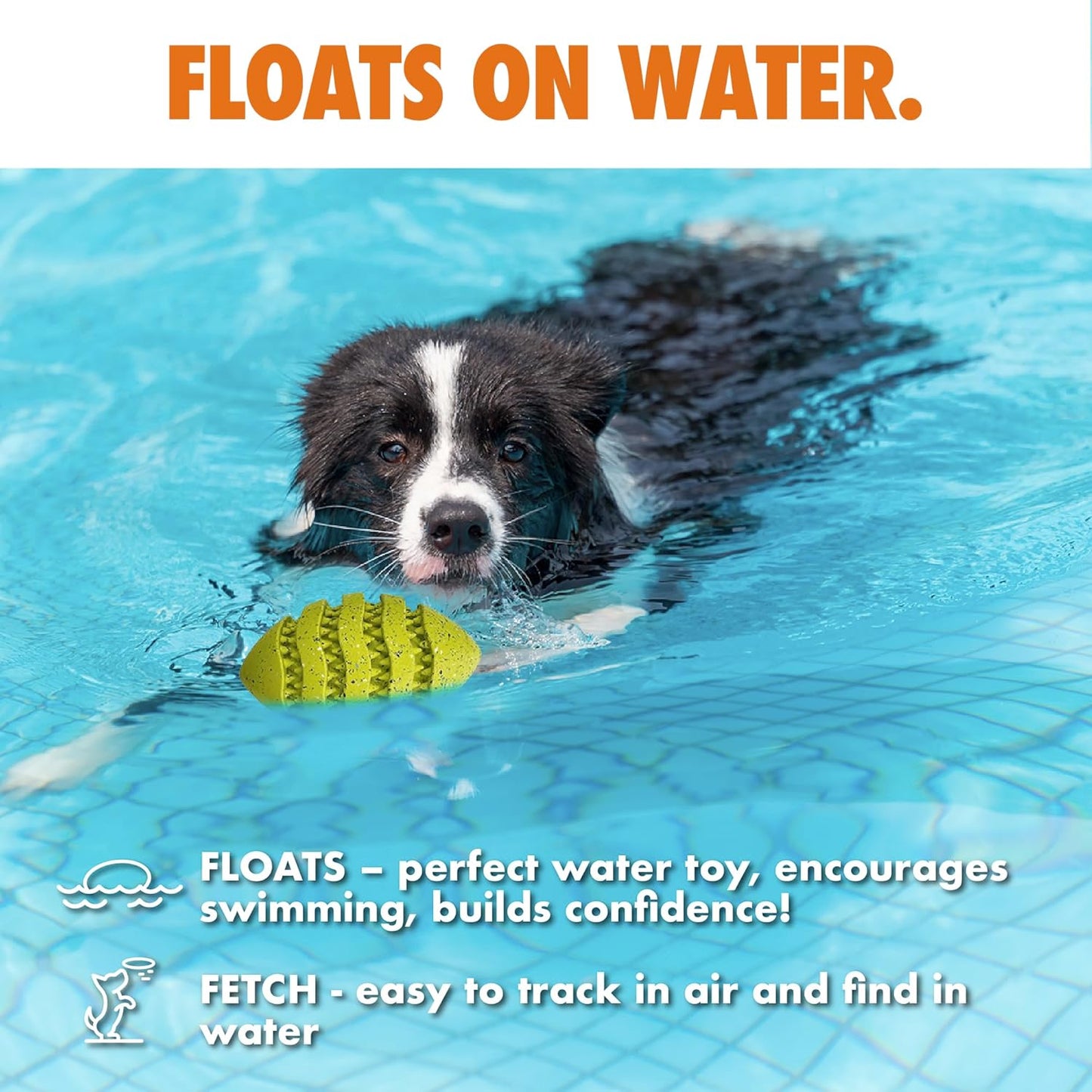 Max Fusion with Nike Grind, Arlee Spiro Football Treat Dispensing Dog Toy, Durable Dog Treat Toy, XL