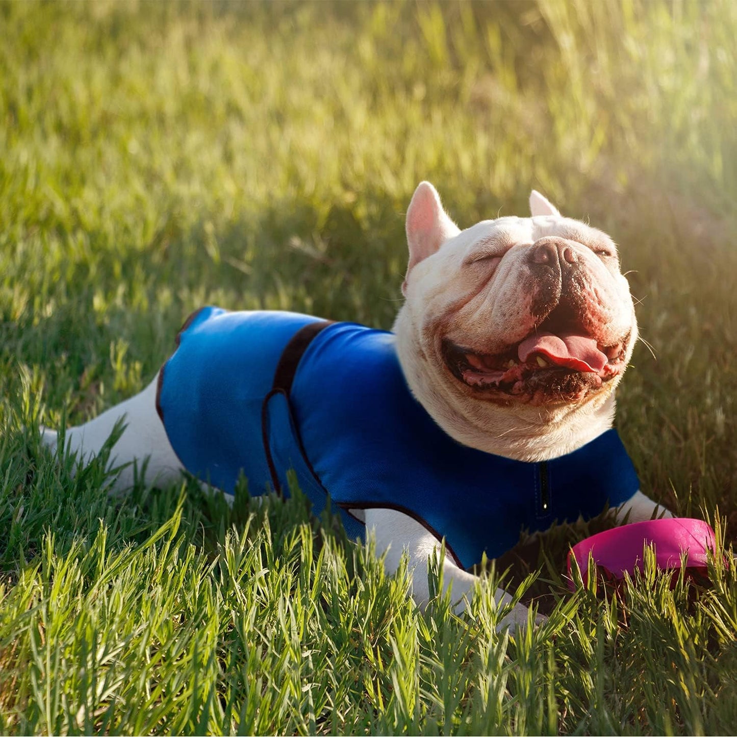 Dog Cooling Vest – Lightweight Summer Jacket for Dogs with Zip Neck & Velcro – Easy On/Off Cooling Coat for Walks, Travel & Outdoors