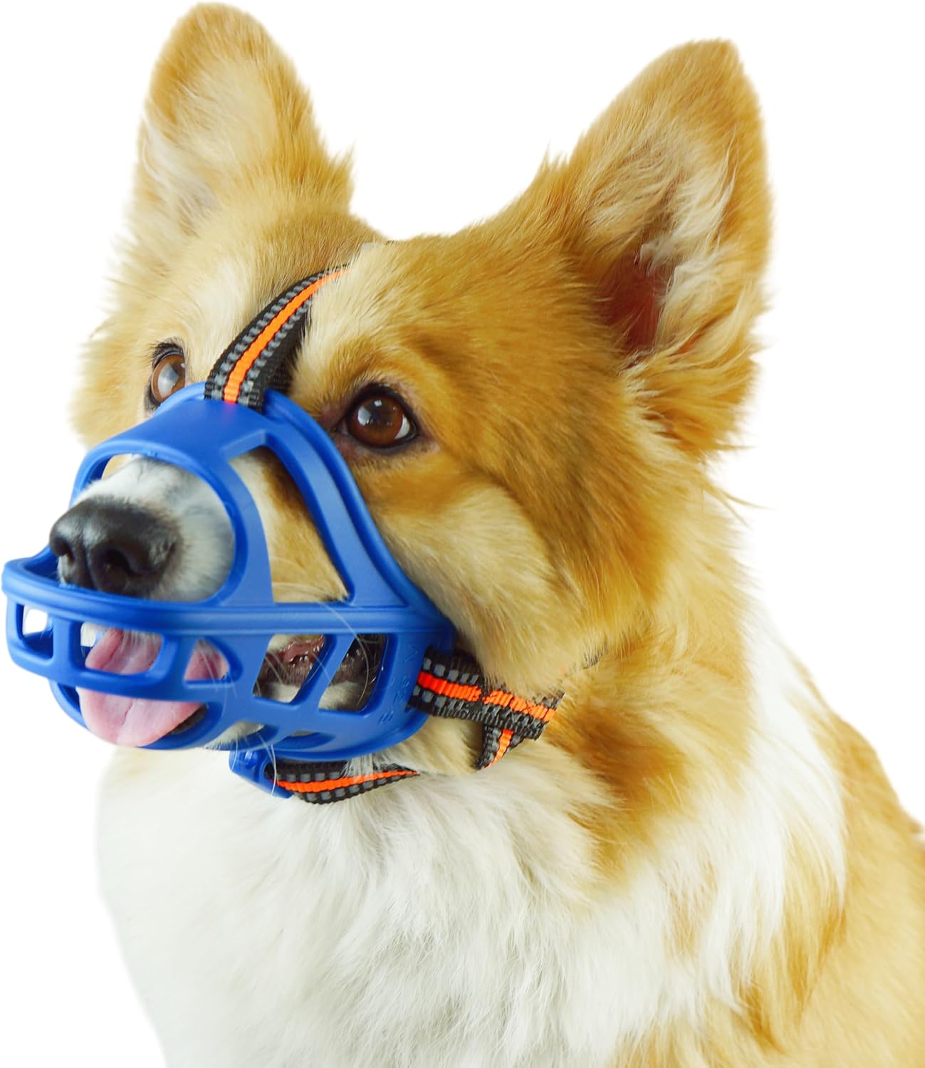 Dog Muzzle, Basket Muzzle for Small Medium Large Dogs, Anti-Biting and Chewing, Lightweight & Sturdy Cage Design,Allows Panting & Drinking, Ideal for Grooming & Training(Blue Size M)