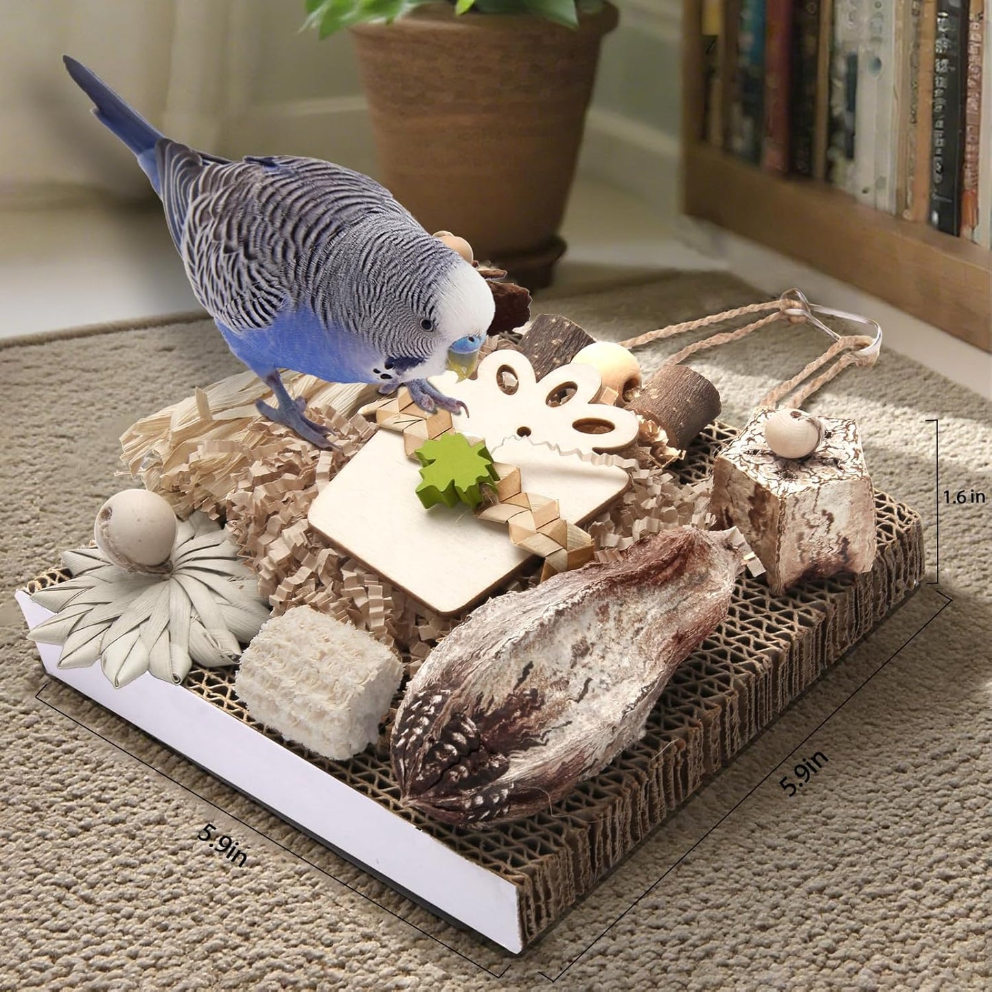 Kyouki Bird Toys, Parakeet Toys, Parrot Toy, Conure Hanging Chewable Cardboard Foraging Suitable for Budgies, Cockatiels, Lovebirds, Sun Conures - and Other Small/Medium Parrots (Medium)