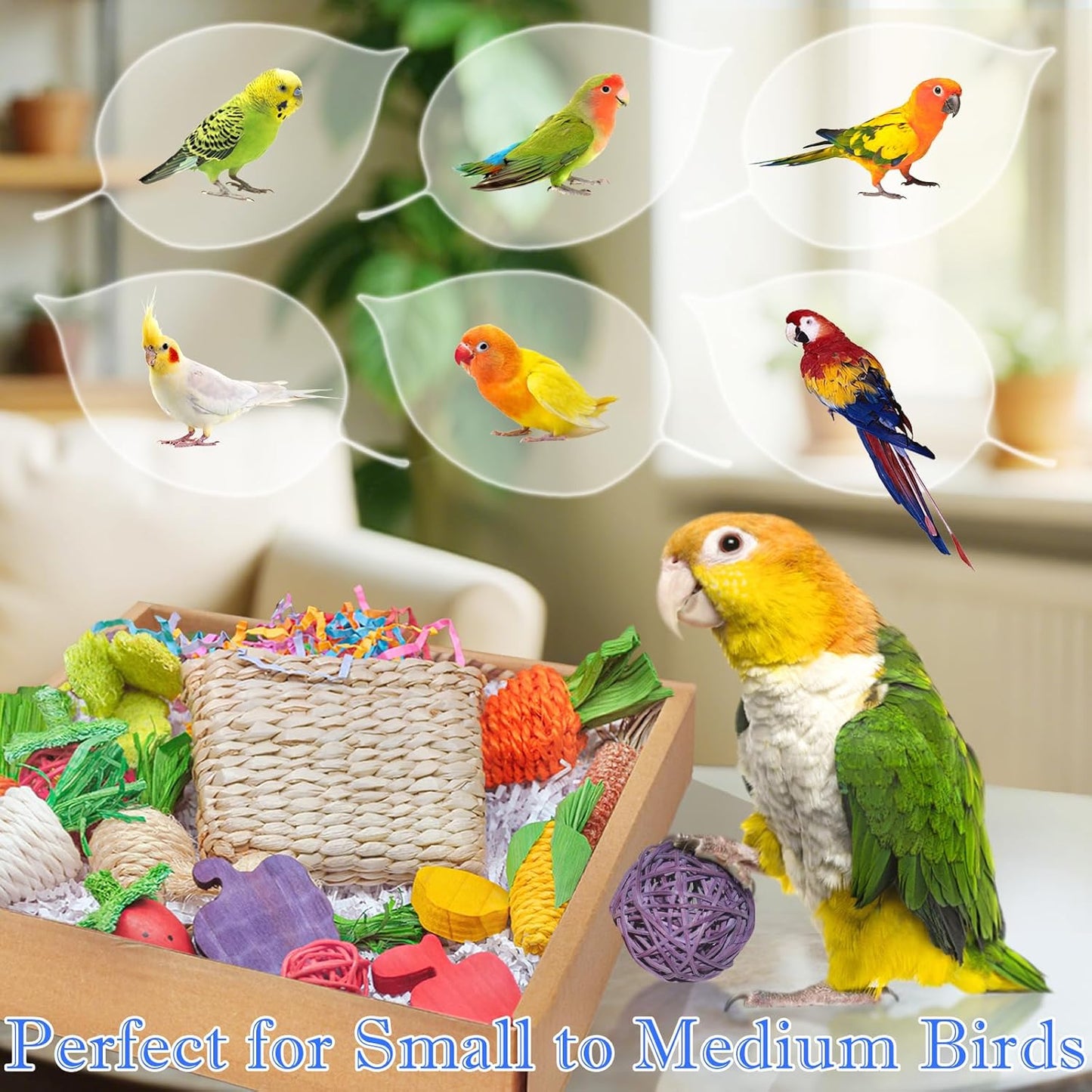 Colorful Bird Foraging & Parrot Shredding Toys Box - Safe Fruit & Vegetable Bird Toys, Perfect for Parakeets, Cockatiels, and Small to Medium Birds