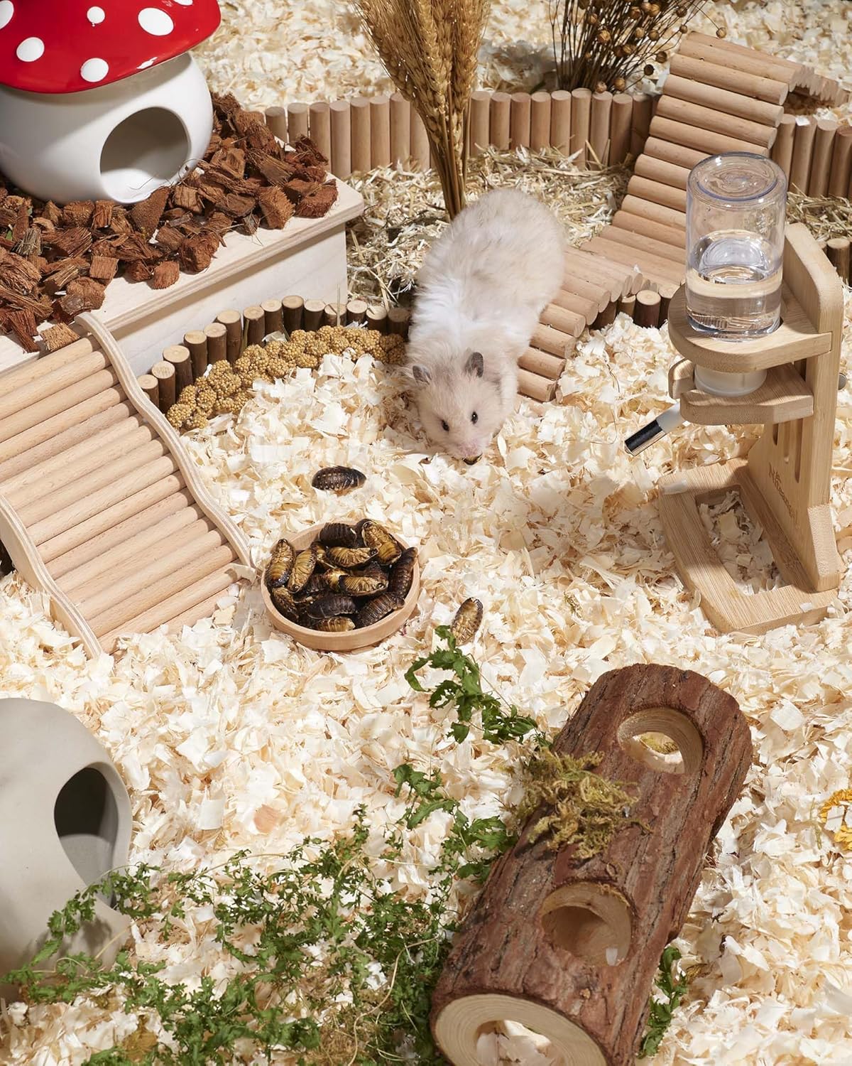 Niteangel Small Animal Snack & Treats - Small Critter Natural Treat for Dwarf Syrian Hamsters Gerbils Mice Sugar Glider Hedgehogs Chickens Birds (Freeze-Dried Dubia)