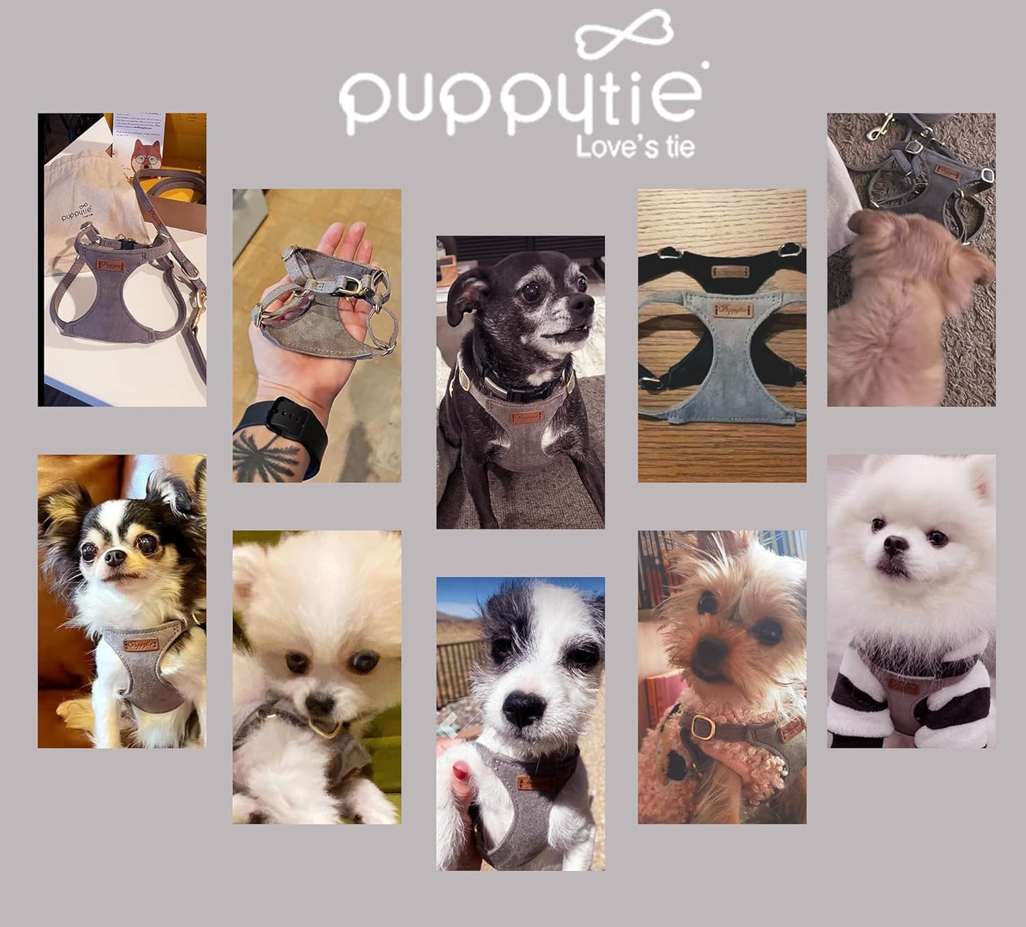 Puppytie No Pull xs Dog Harness with Multifunction Dog Leash,Soft Adjustable No Choke Escape Proof Pet Harness Vest,Silver Grey,XS