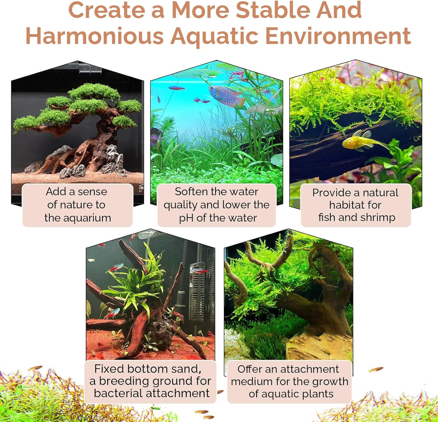 Natural Driftwood for Aquarium 12"-16" Large Aquarium Coral Wood Decor | Single Piece for Fish Tank Landscaping, Reptile Terrarium Climbing Branch, Freshwater Aquatic Wood Aquascaping