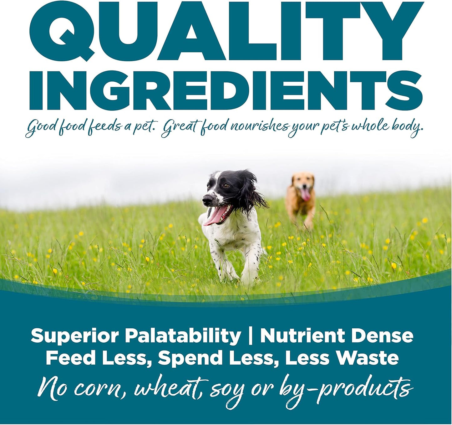 NutriSource Adult Dog Food, Made with Chicken and Rice, with Wholesome Grains, 15LB, Dry Dog Food