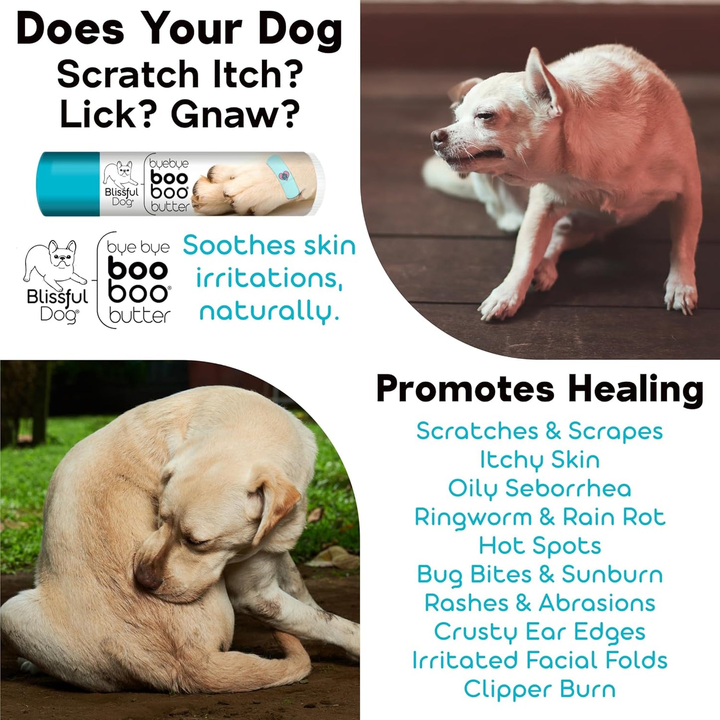 The Blissful Dog 2 oz TIN Weimaraner Booboo Butter