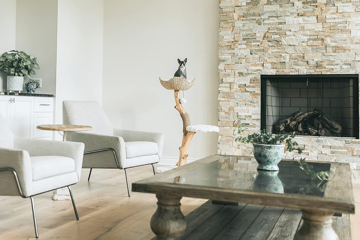 Wooden Cat Climbing Tree Tower, Modern Single Branch Cat Condo, Wood, Cat Lover Furniture Gift by MAU LIFESTYLE (Alpine White)