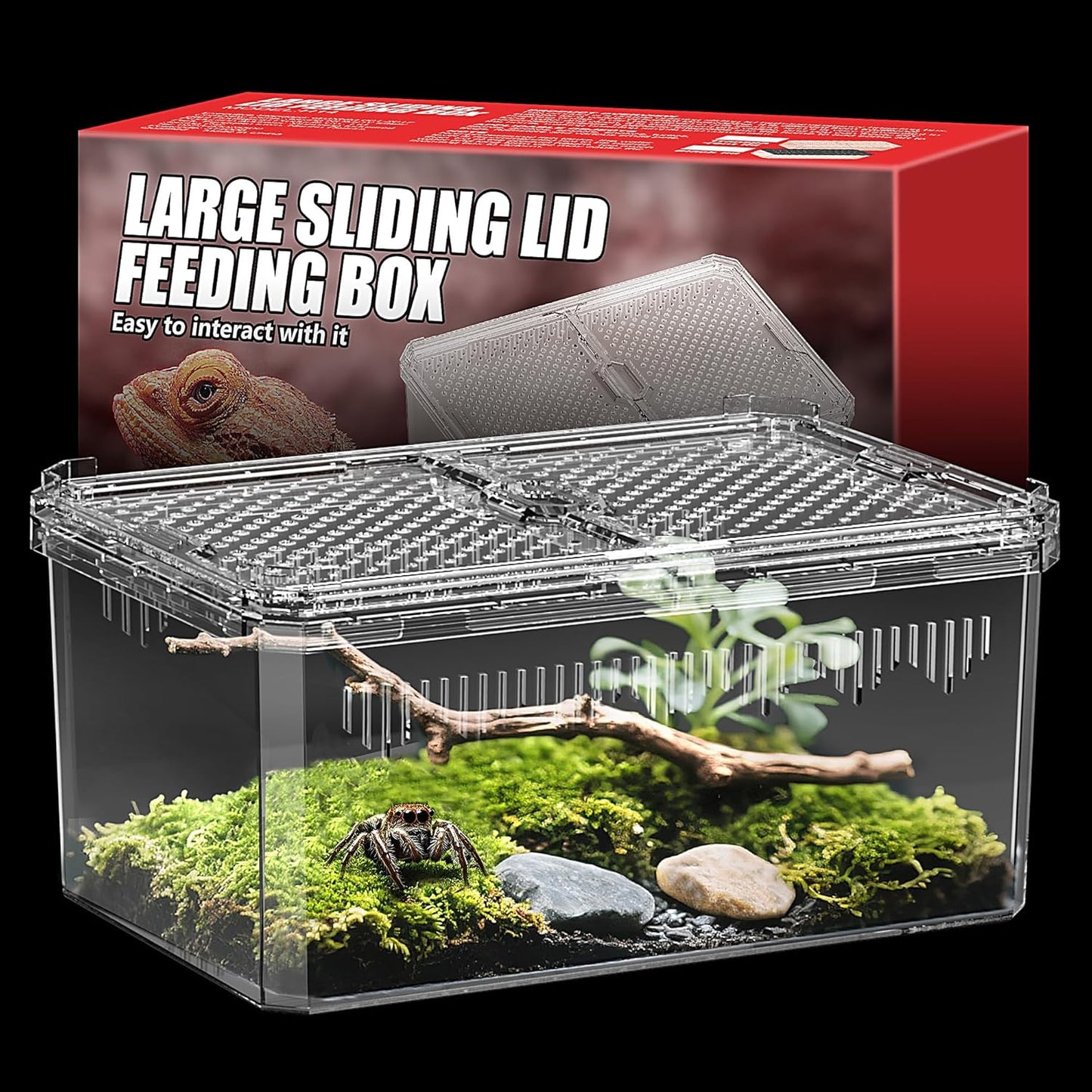 Breathable and Secure Reptile Tank with high Transparency - Ideal Container House for Hermit Crab, Tarantula Enclosure, Turtle Tank or Jumping Spider Habitat (M)