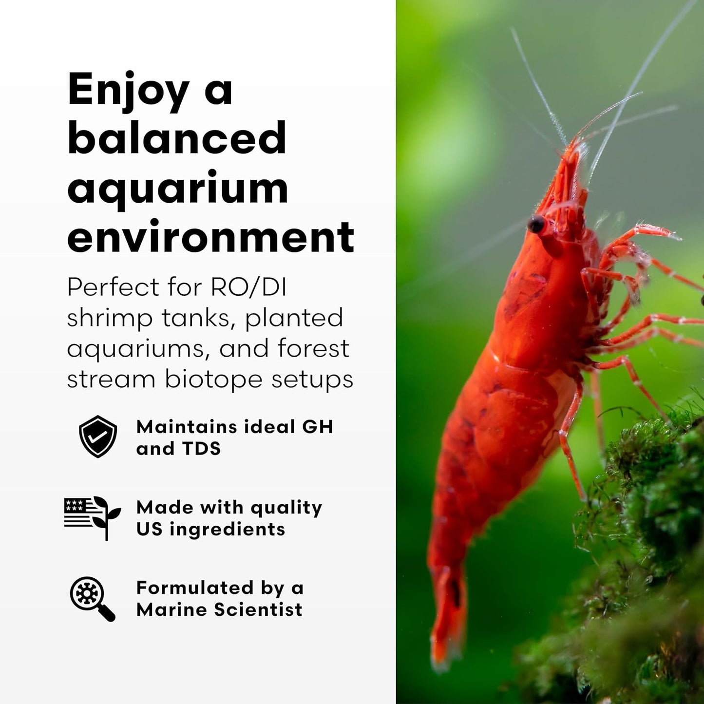 Brightwell Aquatics Caridina GH+ Mineral Supplement Restores Calcium Magnesium Potassium Sodium in Soft RO/DI Water for Shrimp Breeding and Plant Health, 500 ml