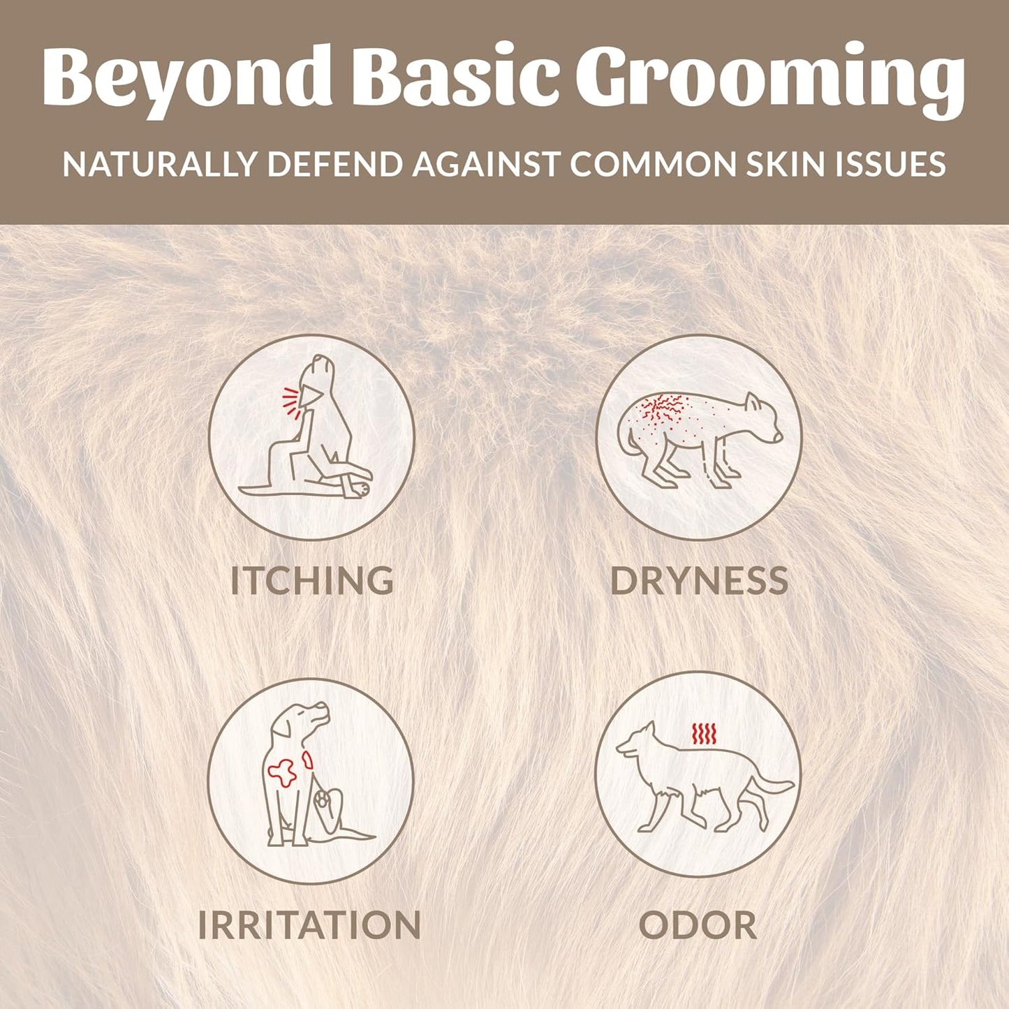 SKOUT'S HONOR Probiotic Pet Deodorizer Spray- Hydrating Daily-Use with Avocado Oil & Omega-3s, Microbiome Friendly Certiified, Paraben & Sulfate-Free, 97% Natural, 8oz, Dog of The Woods