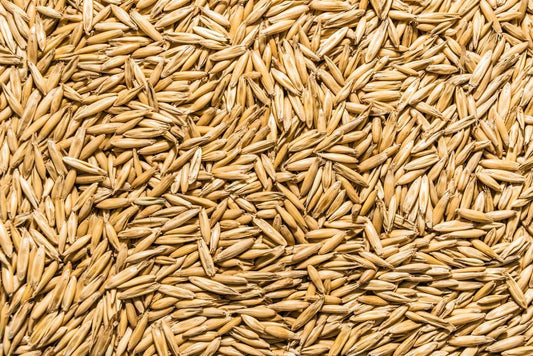 Thunder Acres Non GMO, Certified Organic, Oat Seed (2 lb.)