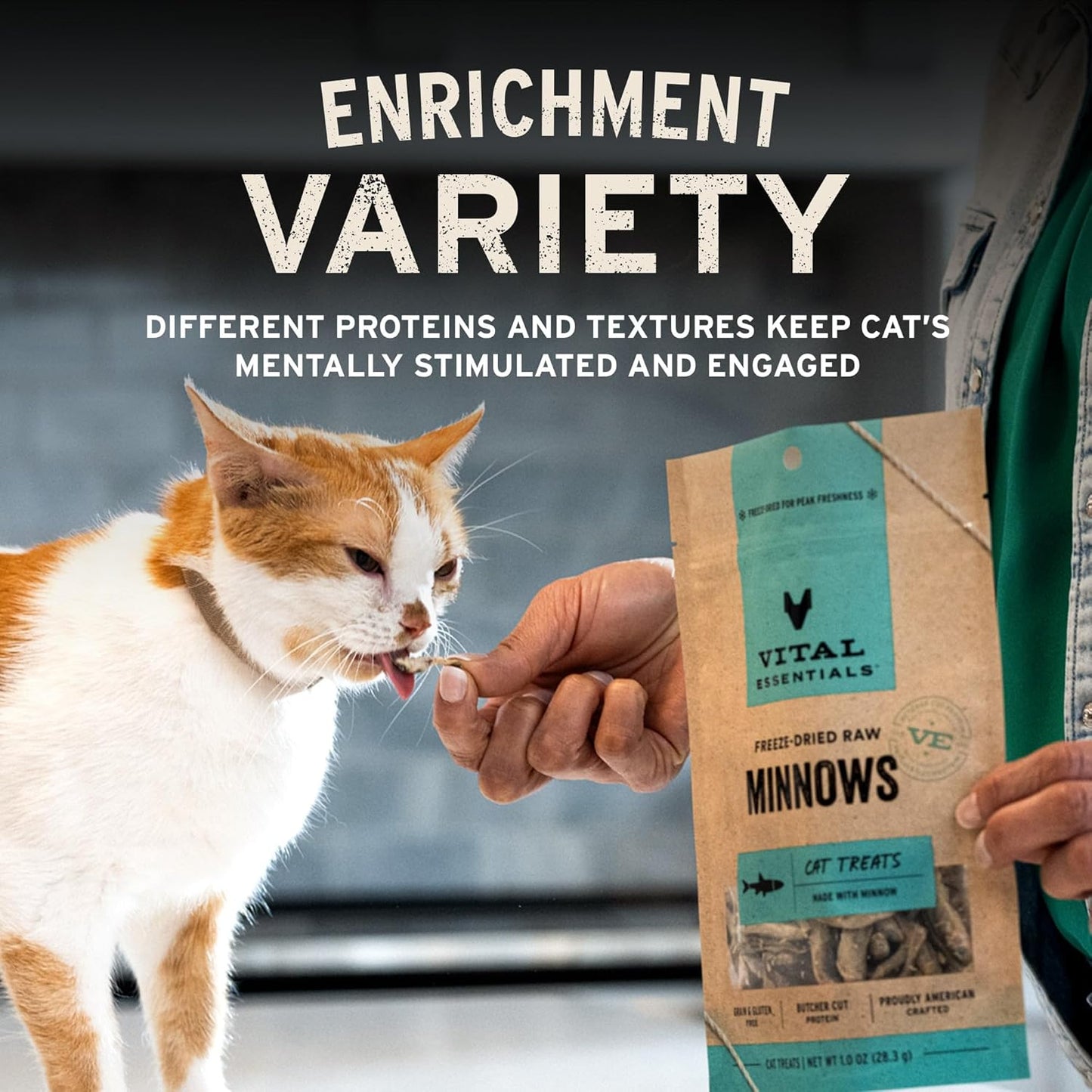Vital Essentials Minnows Cat Treats, 0.5 oz | Freeze-Dried Raw | Single Ingredient | Grain Free, Gluten Free, Filler Free