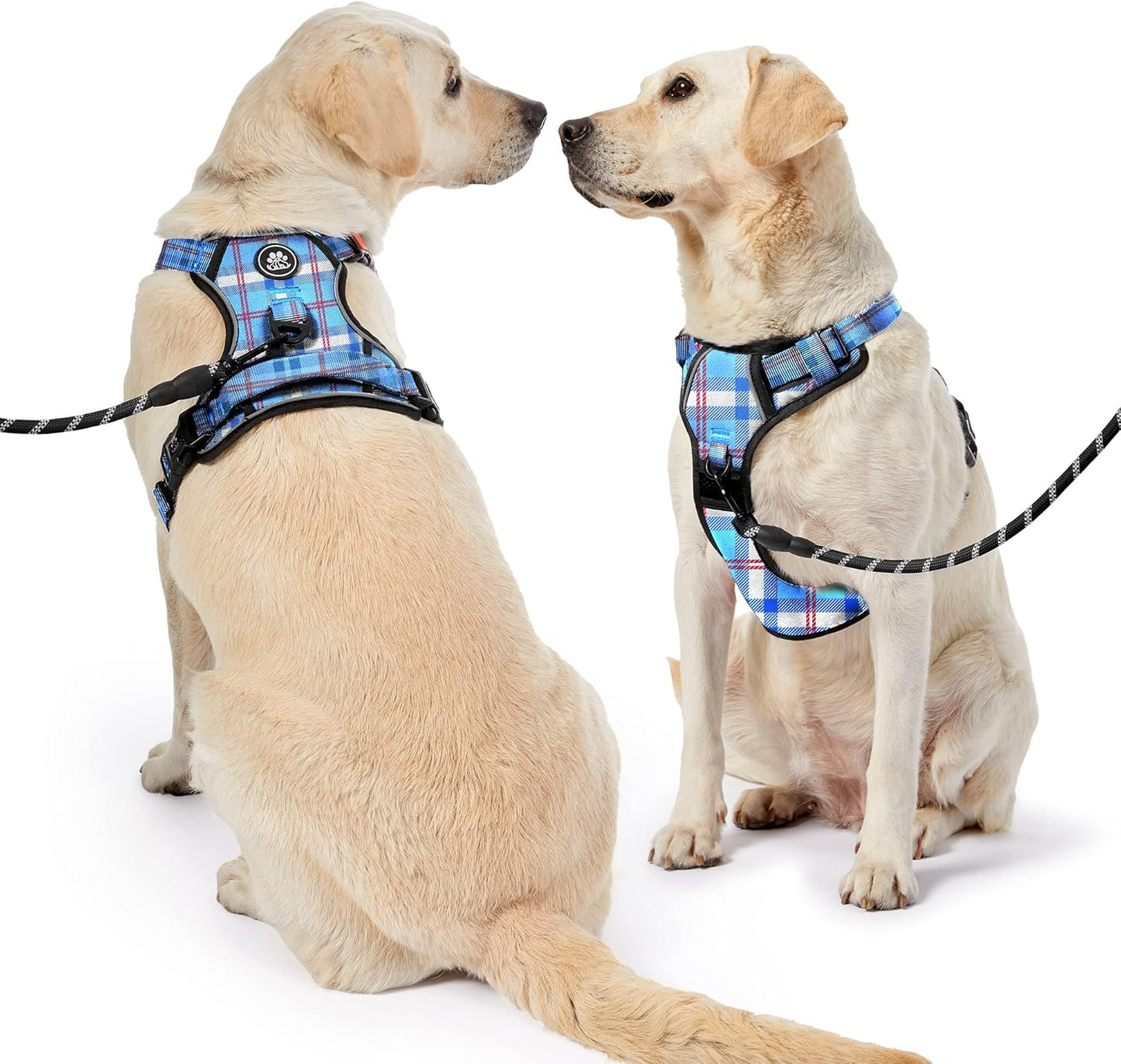 NESTROAD No Pull Dog Harness with Leash, Reflective No Choke Pet Vest Harness,Adjustable Soft Padded Dog Harness with Easy Control Handle for Small Dogs(Checkered Blue,Small)