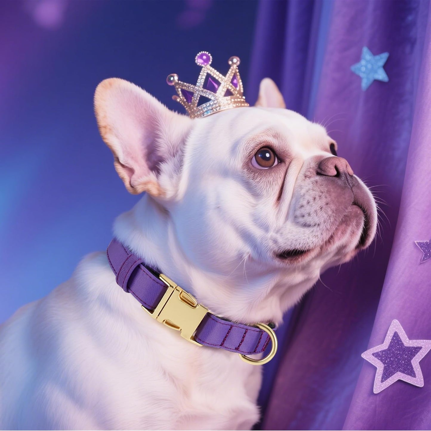 Didog Soft Padded Dog Collars for Medium Dogs, Colorful and Durable Dog Collar with Quick Release Buckle, Light and Breathable for Daily Walking, Purple, M